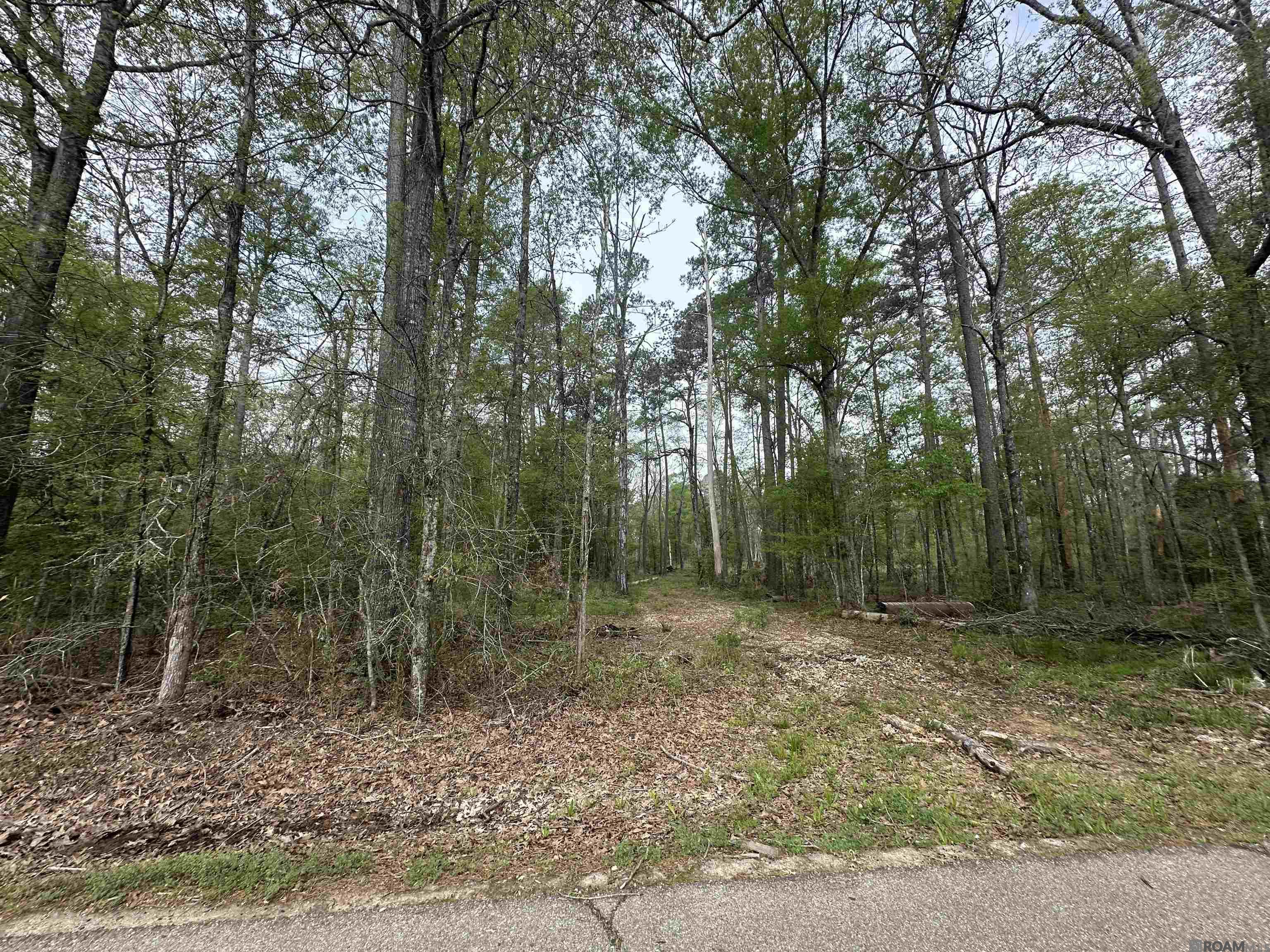 TBD Tyler Ballard Rd, Walker, Louisiana image 7