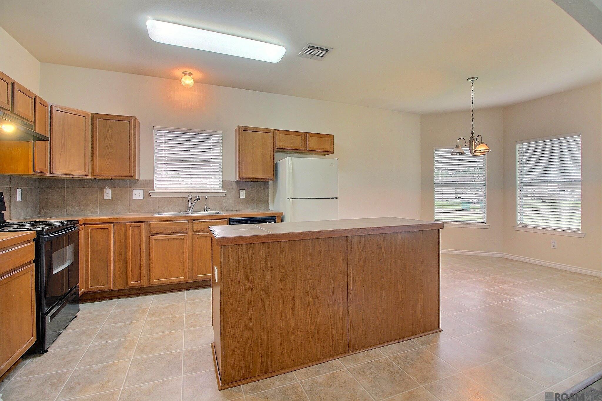 13088 Catahoula Dr, Denham Springs, Louisiana image 5