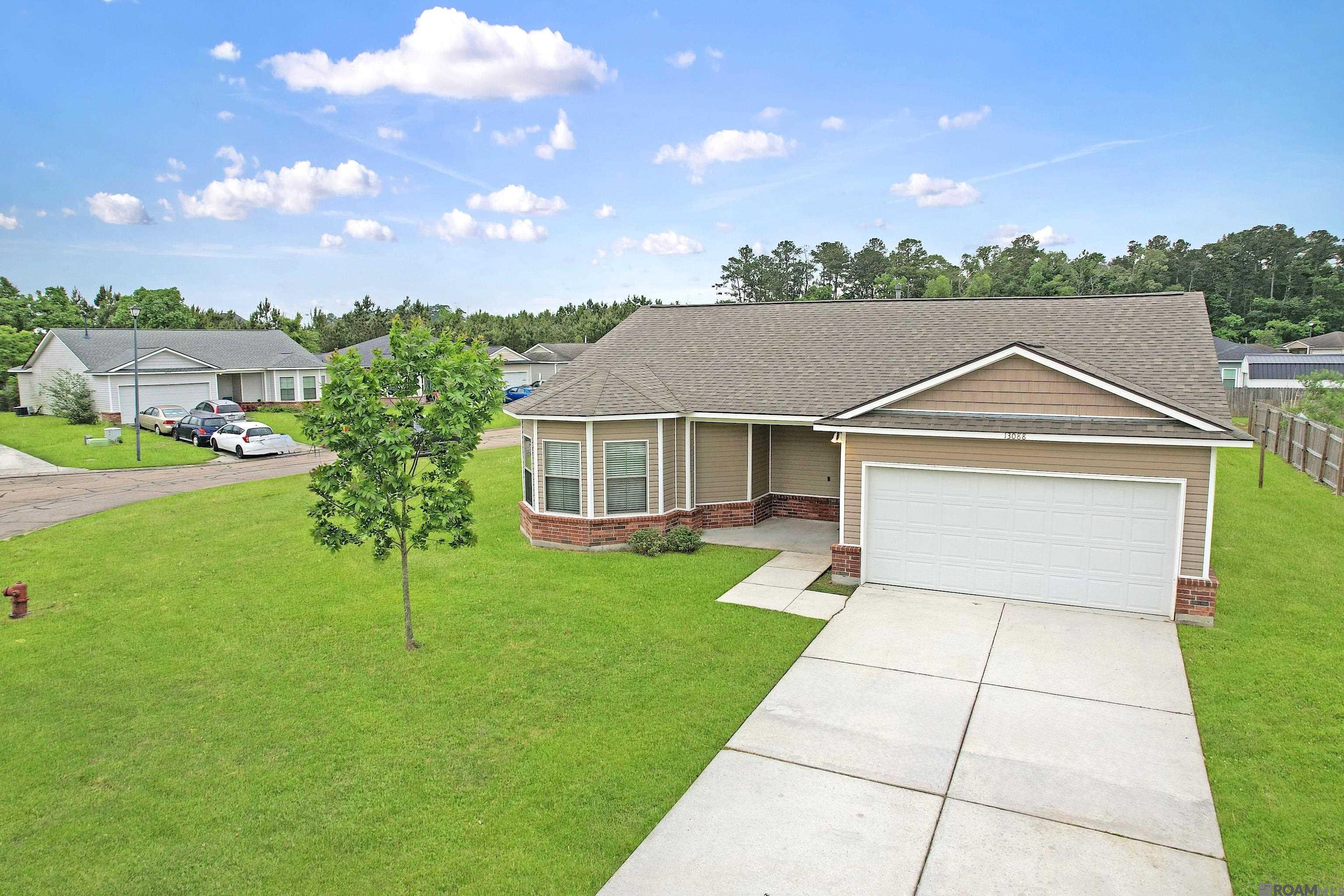 13088 Catahoula Dr, Denham Springs, Louisiana image 1