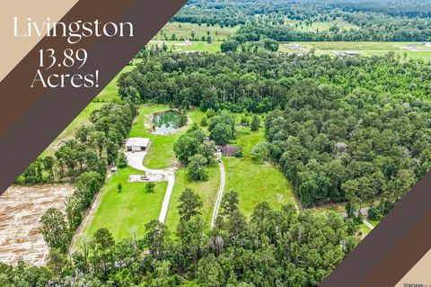 17932 Watts Rd Livingston LA 70754