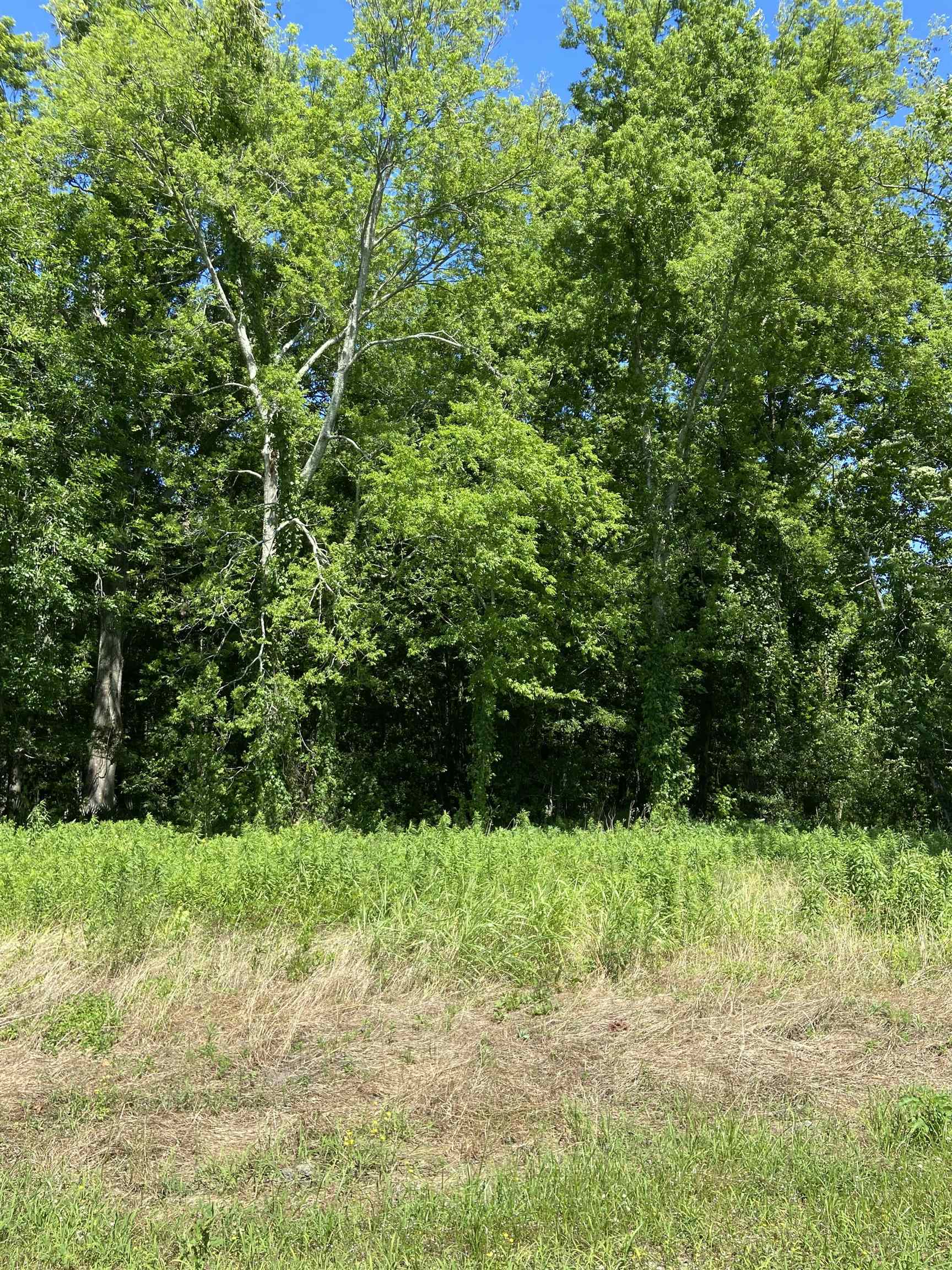 Lot 16 West Lake Dr, Port Allen, Louisiana image 4
