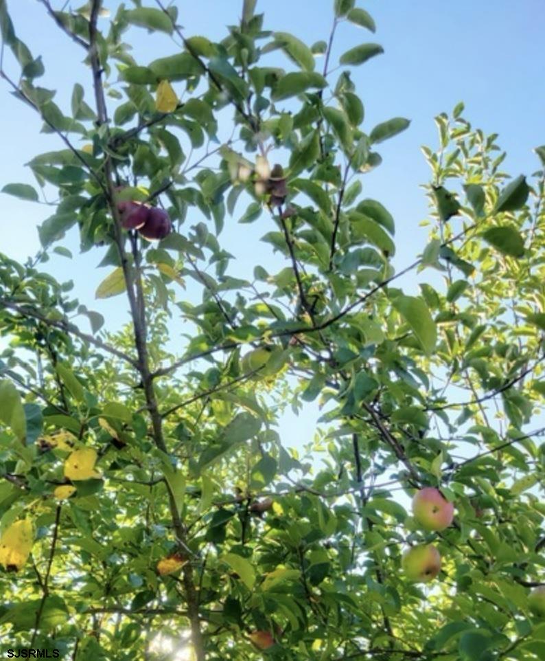 Egg Harbor Township, New Jersey 08234, United States, 4 Bedrooms Bedrooms, ,3 BathroomsBathrooms,Residential,Active,108241