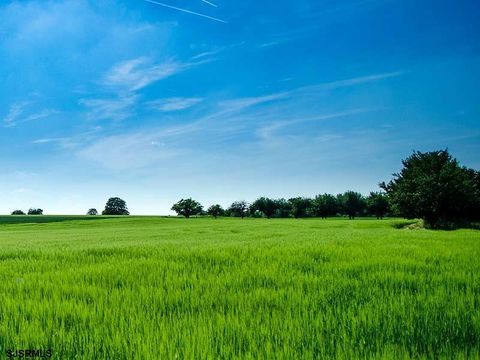 40 BUTTER ROAD Upper Township NJ 08230