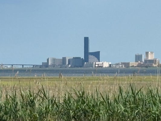 406 BURNING TREE BLVD, ABSECON, NJ 08201 - Image 489785bd66a4080babef2df874c883ac/1934215519
