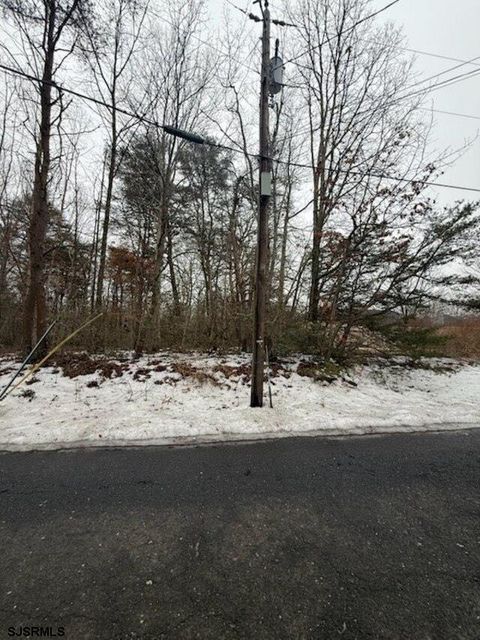 Vacant Land For Sale - Lummistown Road<br/> Cedarville, NJ 08311