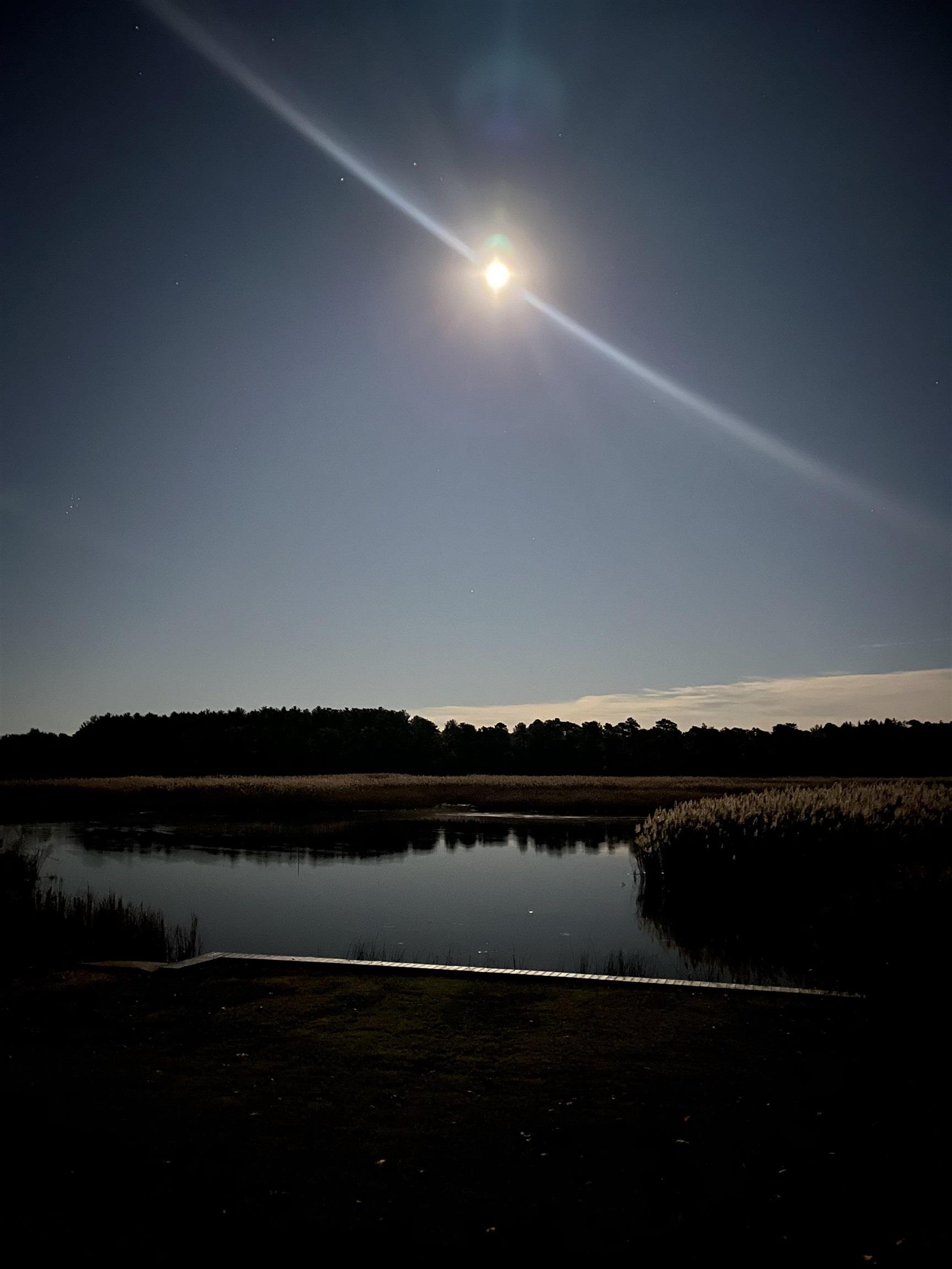 New Gretna, New Jersey 08087, United States, 4 Bedrooms Bedrooms, ,3 BathroomsBathrooms,Residential,Active,5559