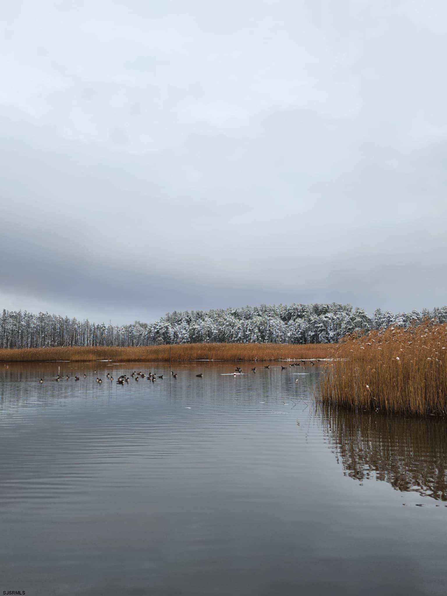 New Gretna, New Jersey 08087, United States, 4 Bedrooms Bedrooms, ,3 BathroomsBathrooms,Residential,Active,5559