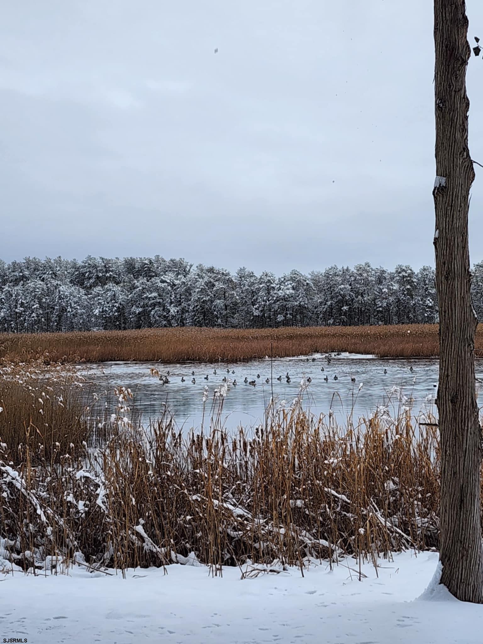 New Gretna, New Jersey 08087, United States, 4 Bedrooms Bedrooms, ,3 BathroomsBathrooms,Residential,Active,5559