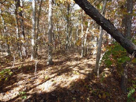 Vacant Land For Sale - 00 Holly Ave<br/> Galloway Township, NJ 08205