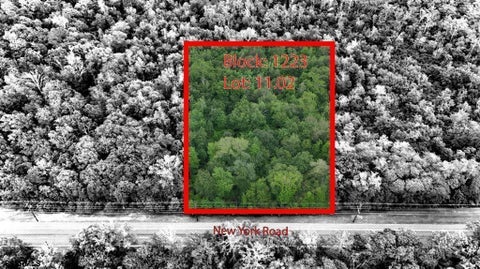 Vacant Land For Sale - B:1223/L:11.02 New York Road<br/> Galloway Township, NJ 08205
