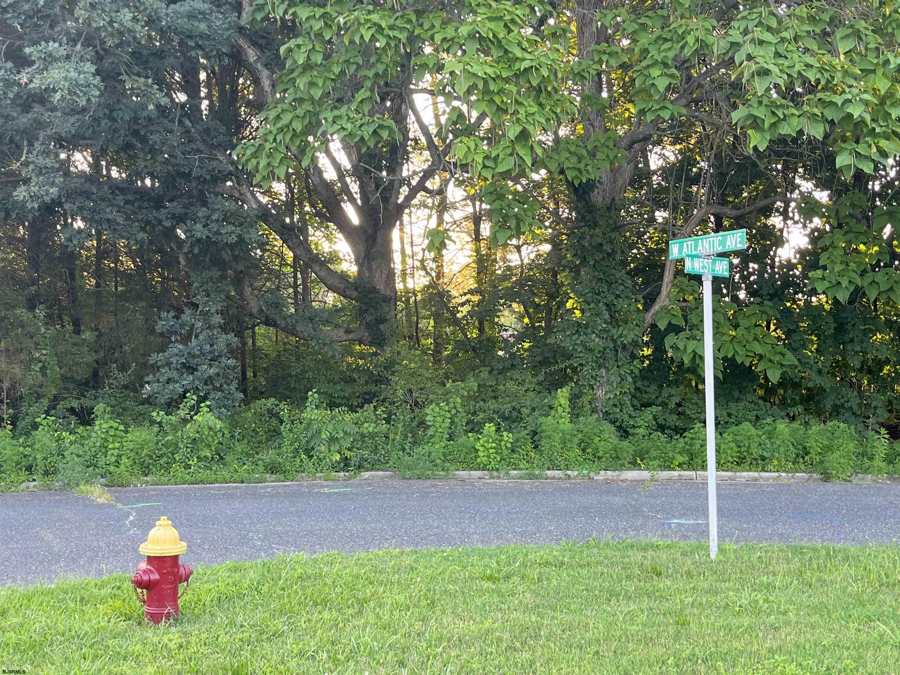 Minotola, New Jersey 08341, United States, 3 Bedrooms Bedrooms, ,3 BathroomsBathrooms,Residential,Active,184111