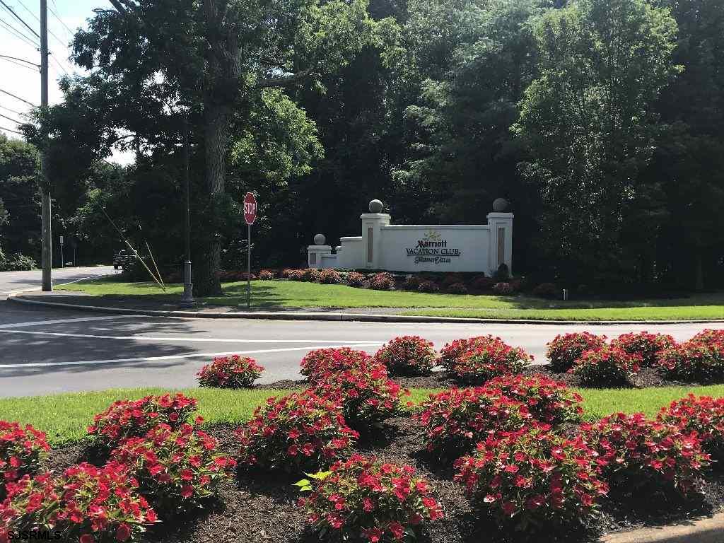NEW YORK ROAD