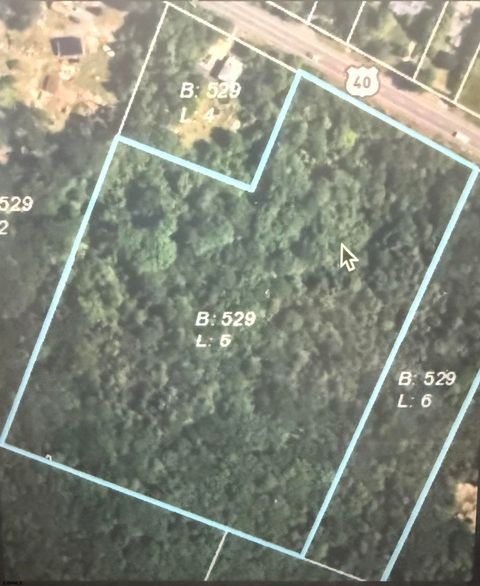 Vacant Land For Sale - W Harding Hwy<br/> Mays Landing, NJ 08330