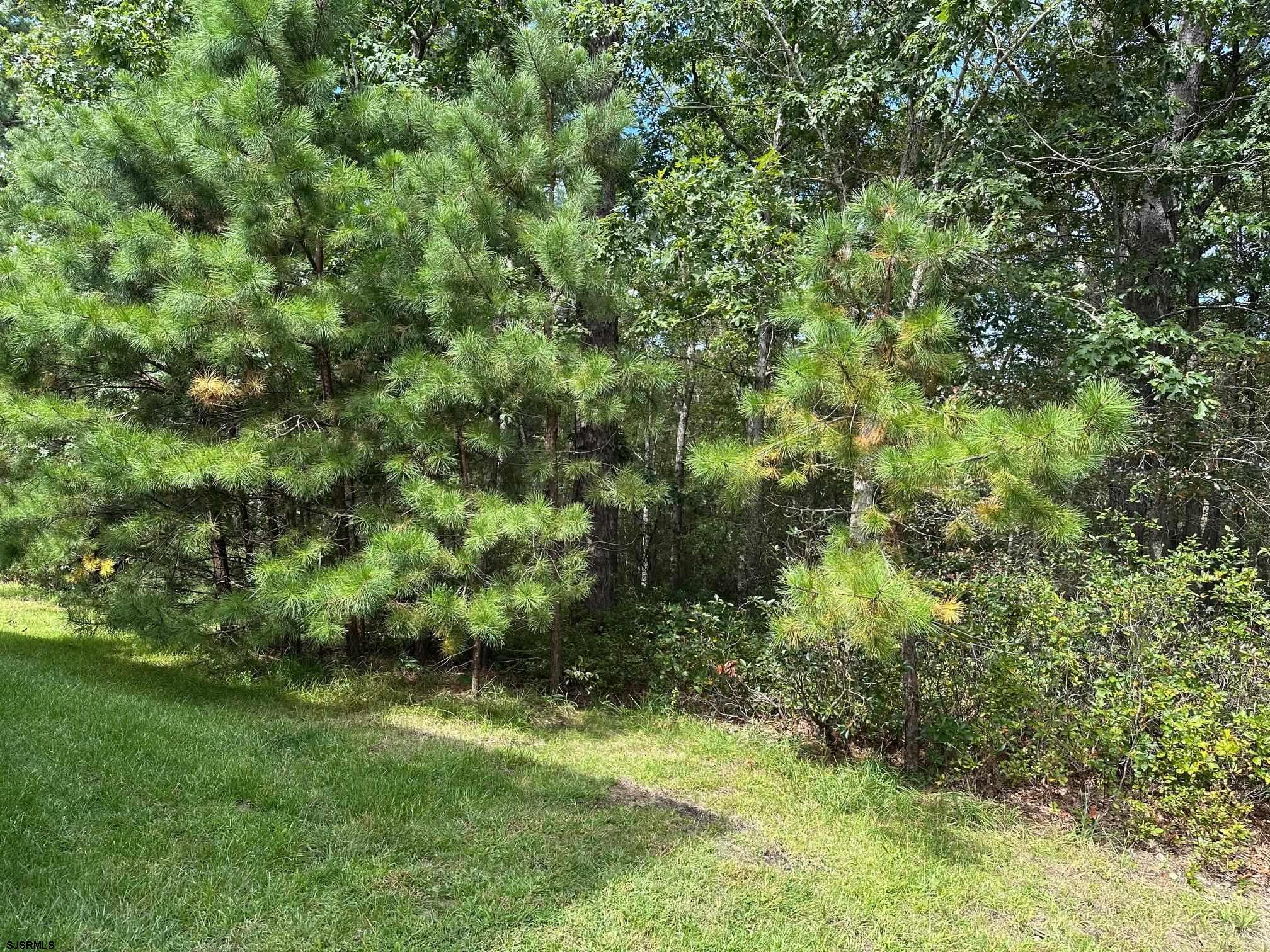 Mays Landing, New Jersey 08330, United States, 2 Bedrooms Bedrooms, ,2 BathroomsBathrooms,Residential,Active,215933