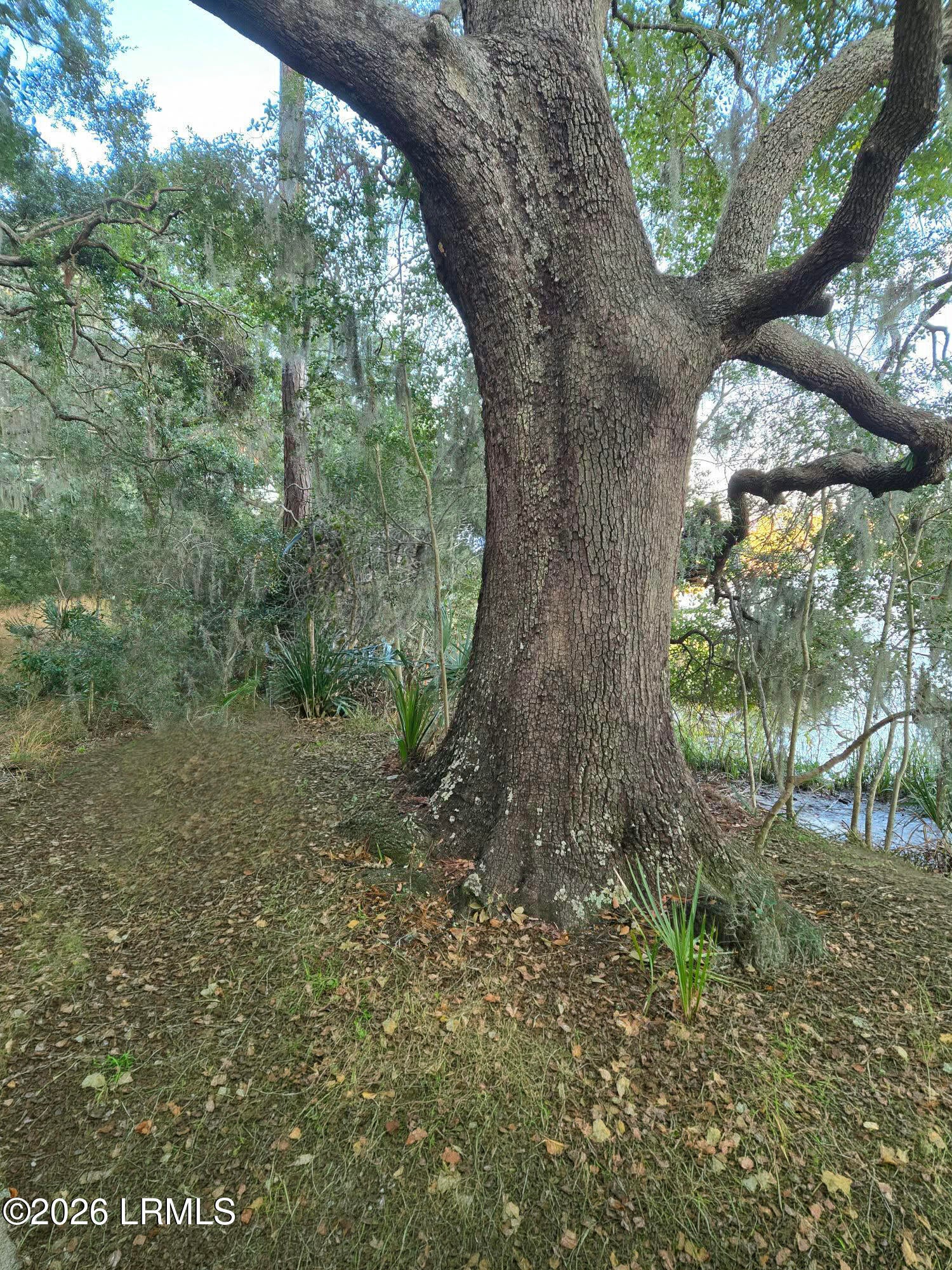 198 Bull Point Drive