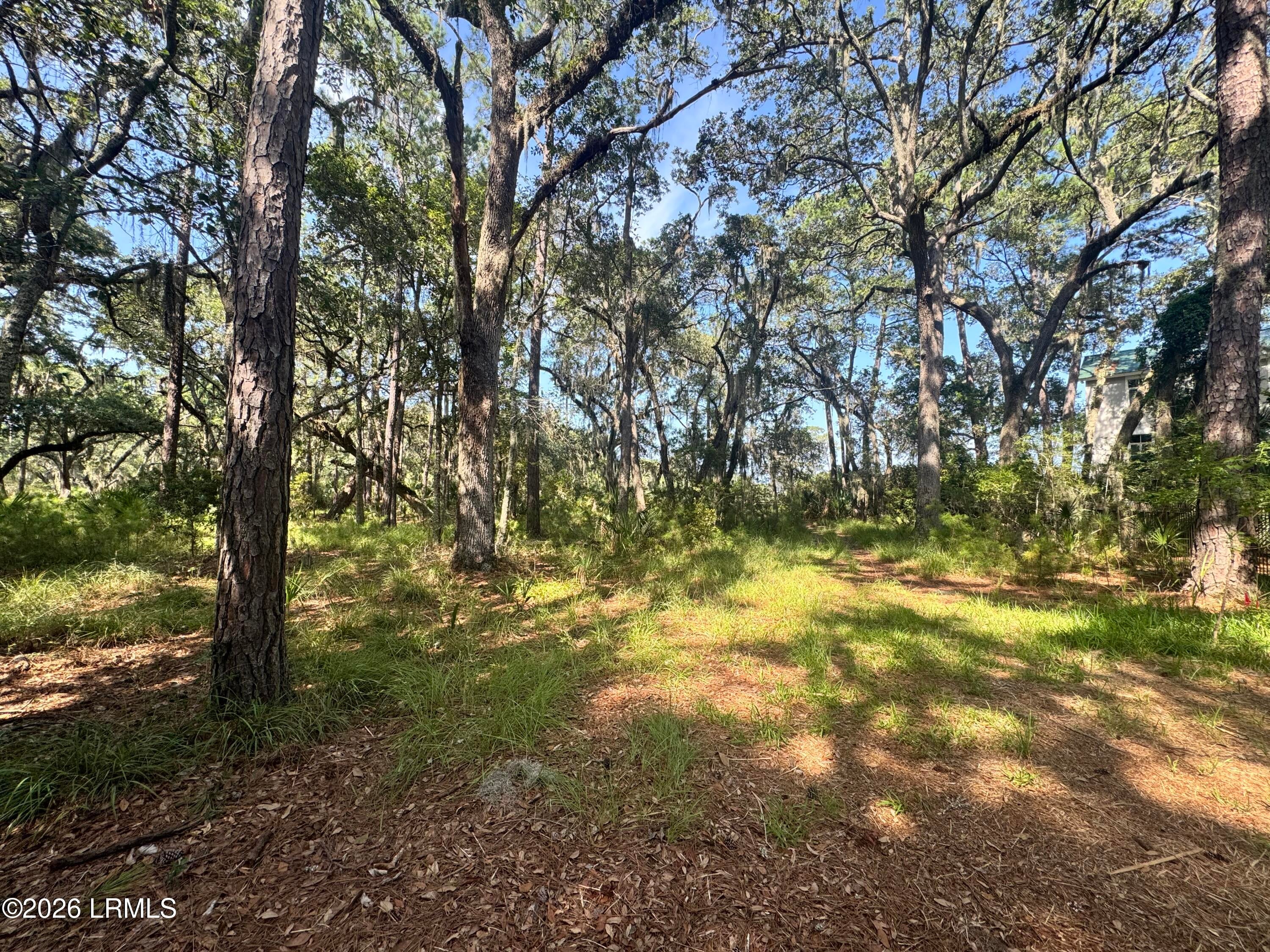7 N Point Trail