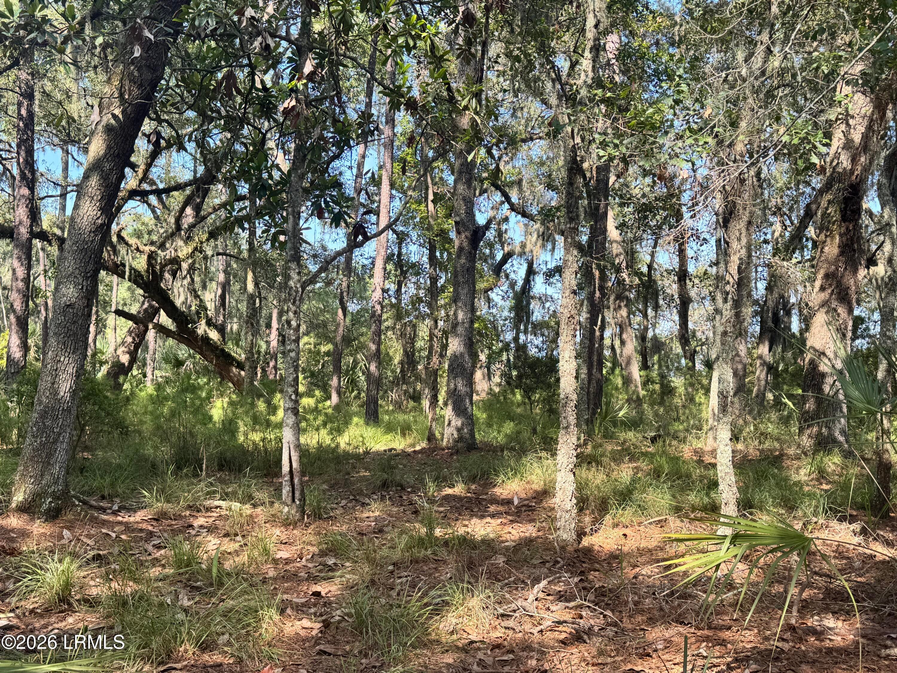 7 N Point Trail