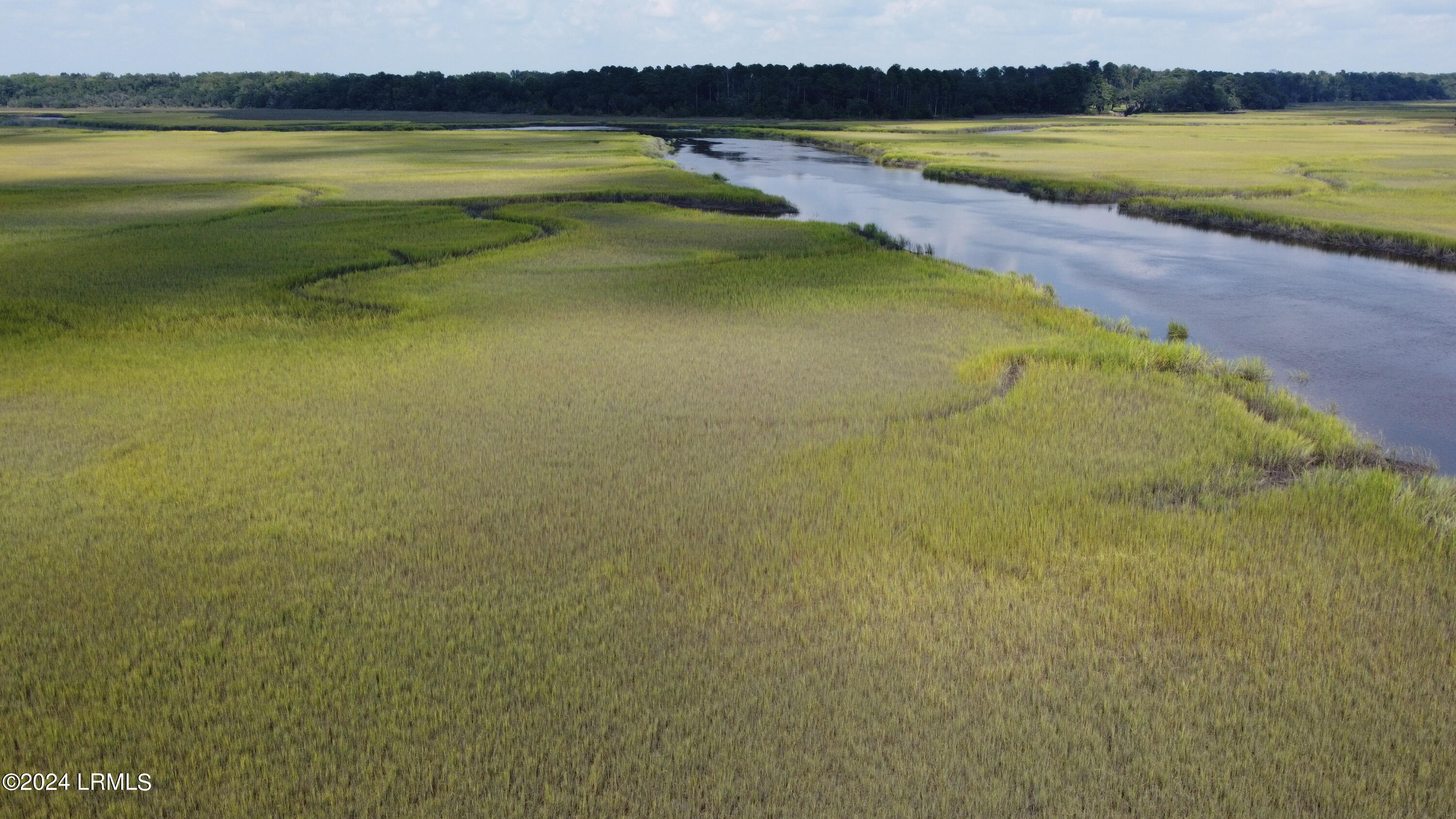 Yemassee, South Carolina 29945, United States, ,Land,Active,44282