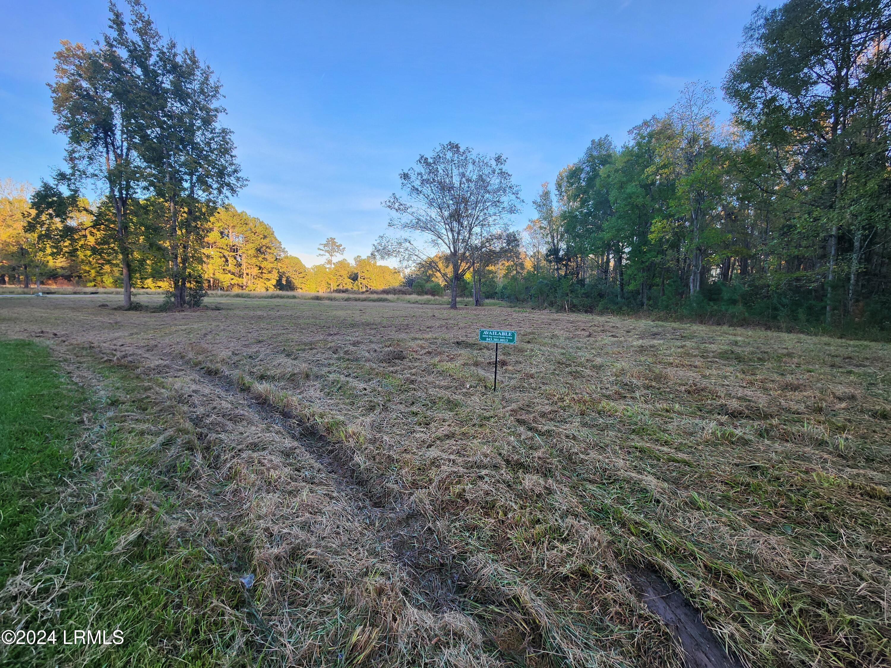 Yemassee, South Carolina 29945, United States, ,Land,Active,44282