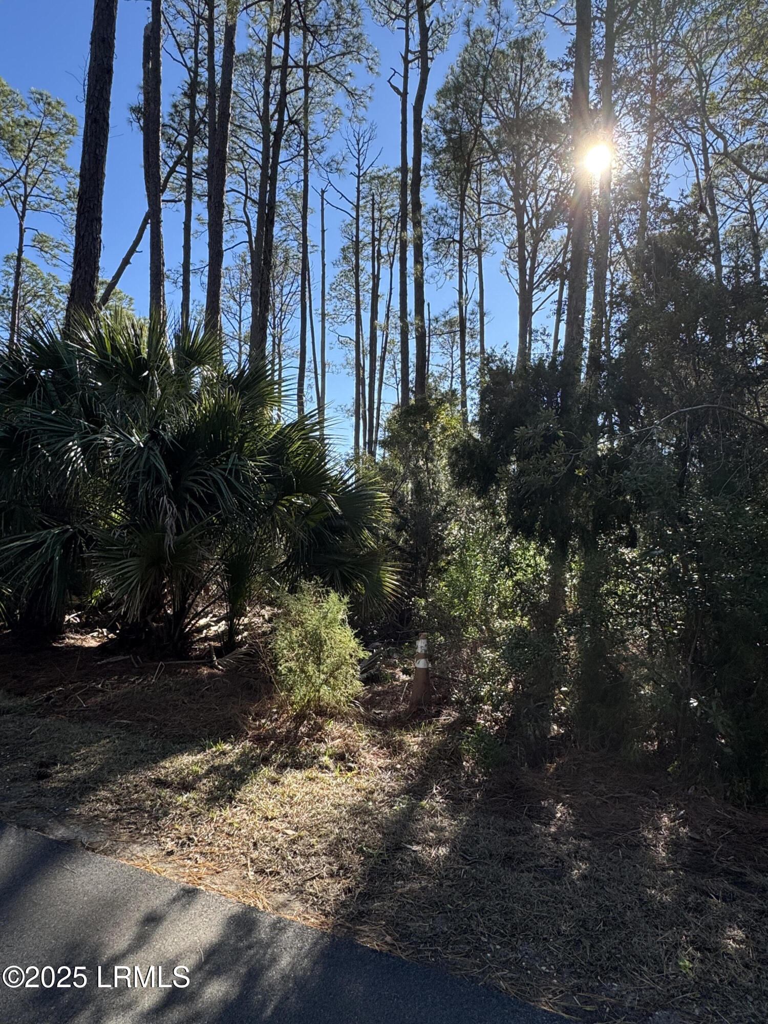 Harbor Island, South Carolina 29920, United States, ,Land,Active,20809