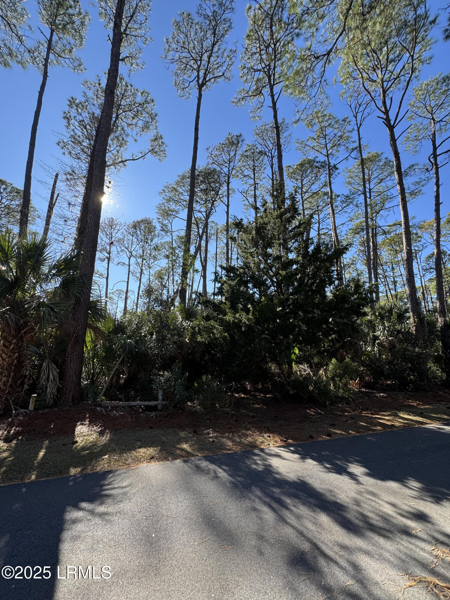 Harbor Island, South Carolina 29920, United States, ,Land,Active,20809