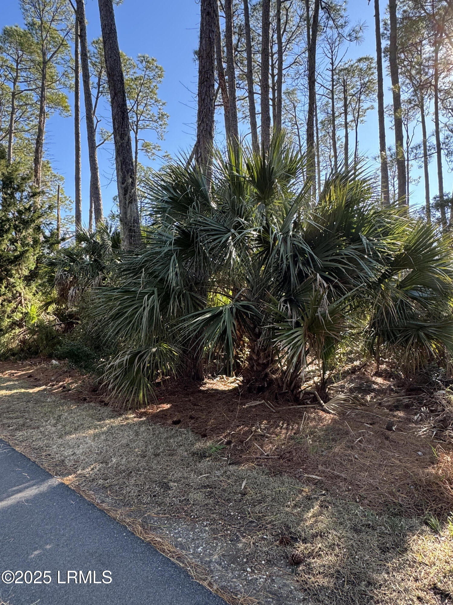 Harbor Island, South Carolina 29920, United States, ,Land,Active,20809