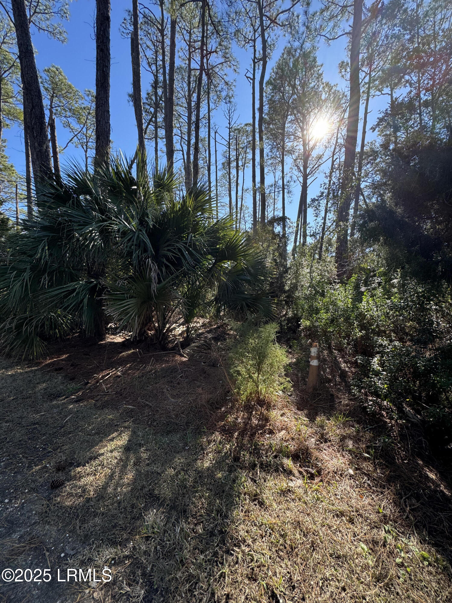 Harbor Island, South Carolina 29920, United States, ,Land,Active,20809
