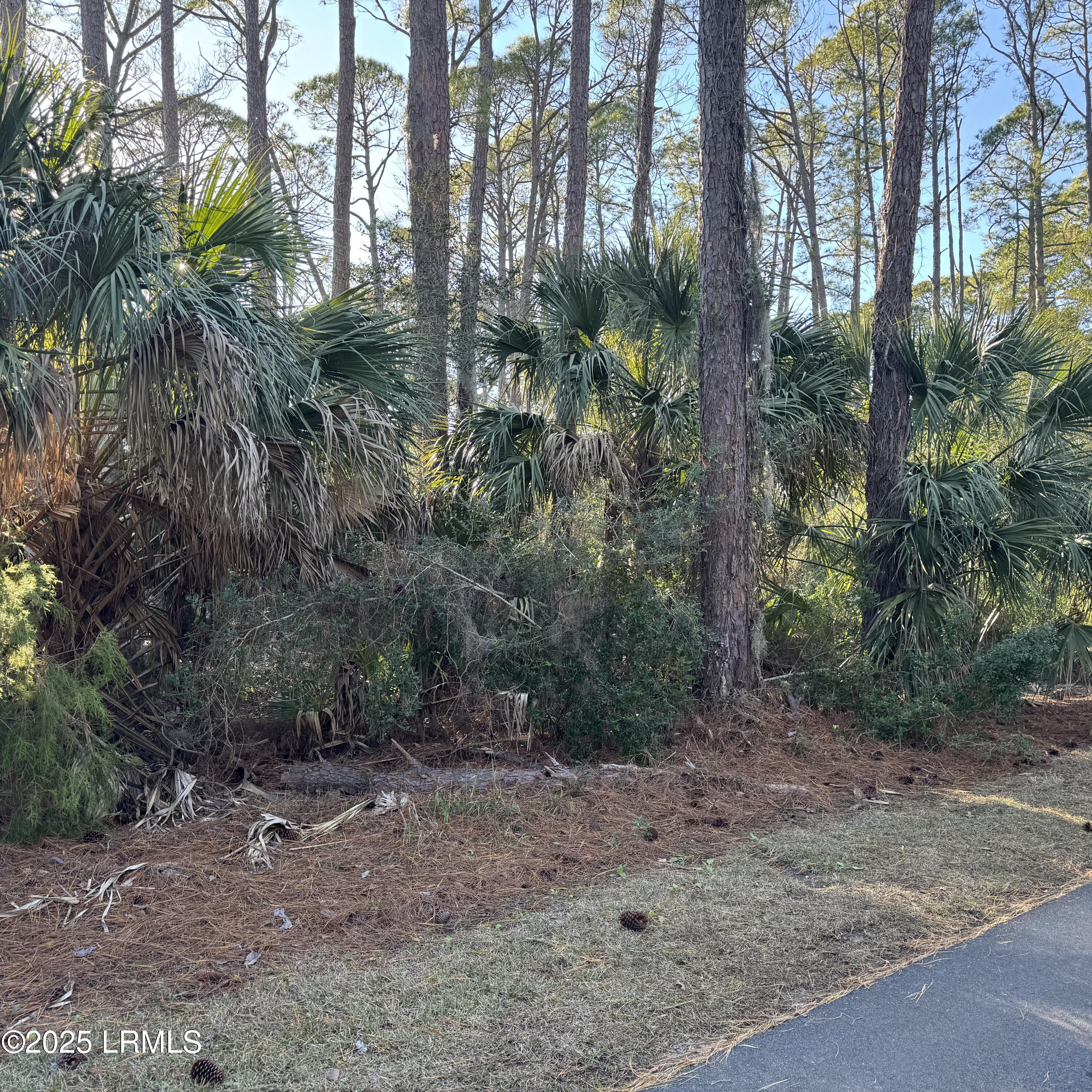 Harbor Island, South Carolina 29920, United States, ,Land,Active,20809