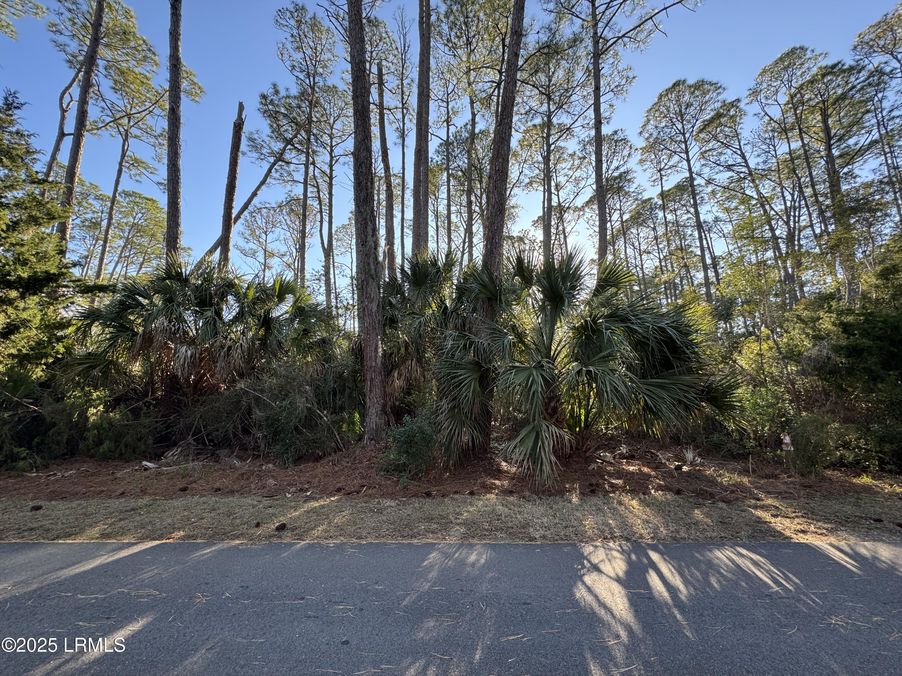 Harbor Island, South Carolina 29920, United States, ,Land,Active,20809