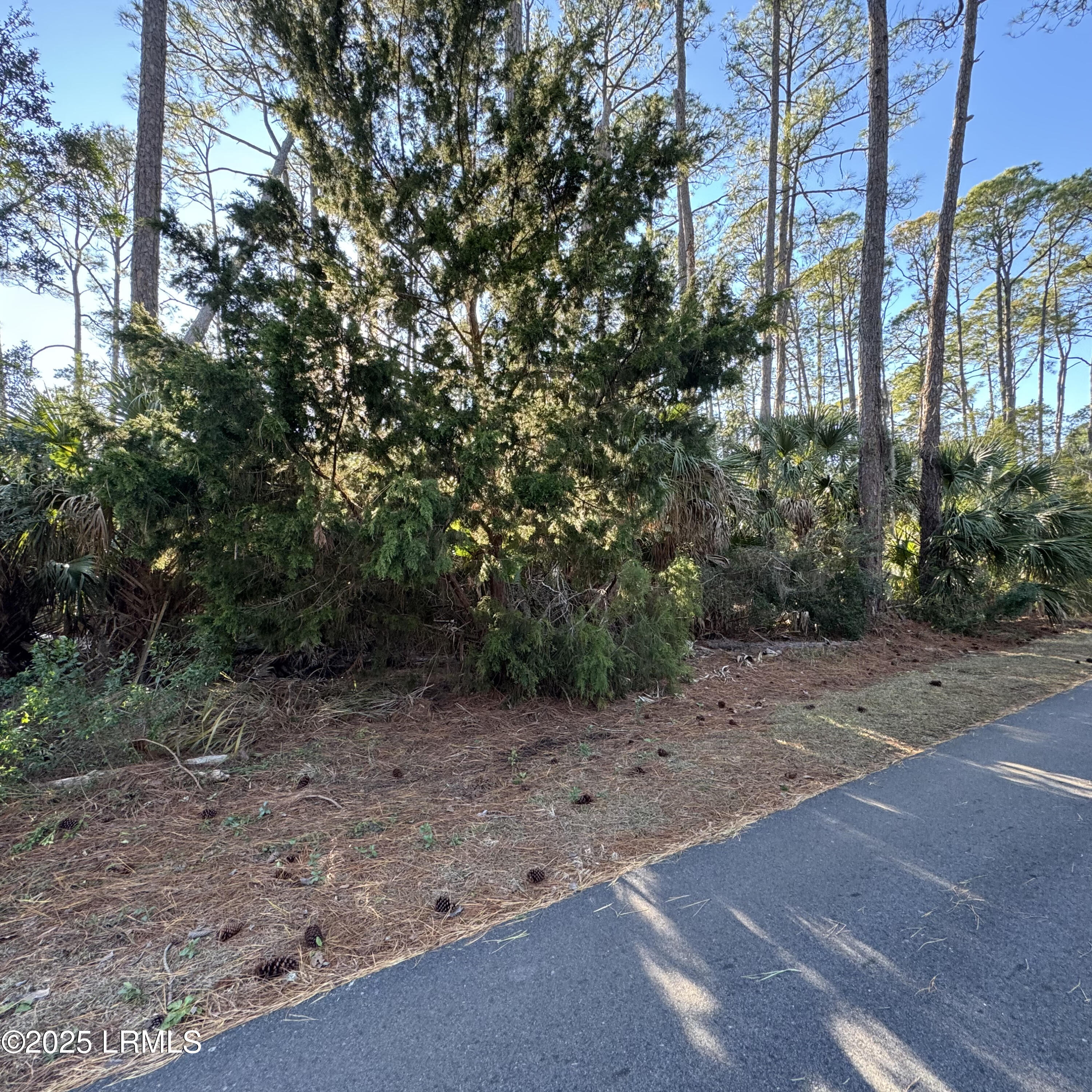 Harbor Island, South Carolina 29920, United States, ,Land,Active,20809