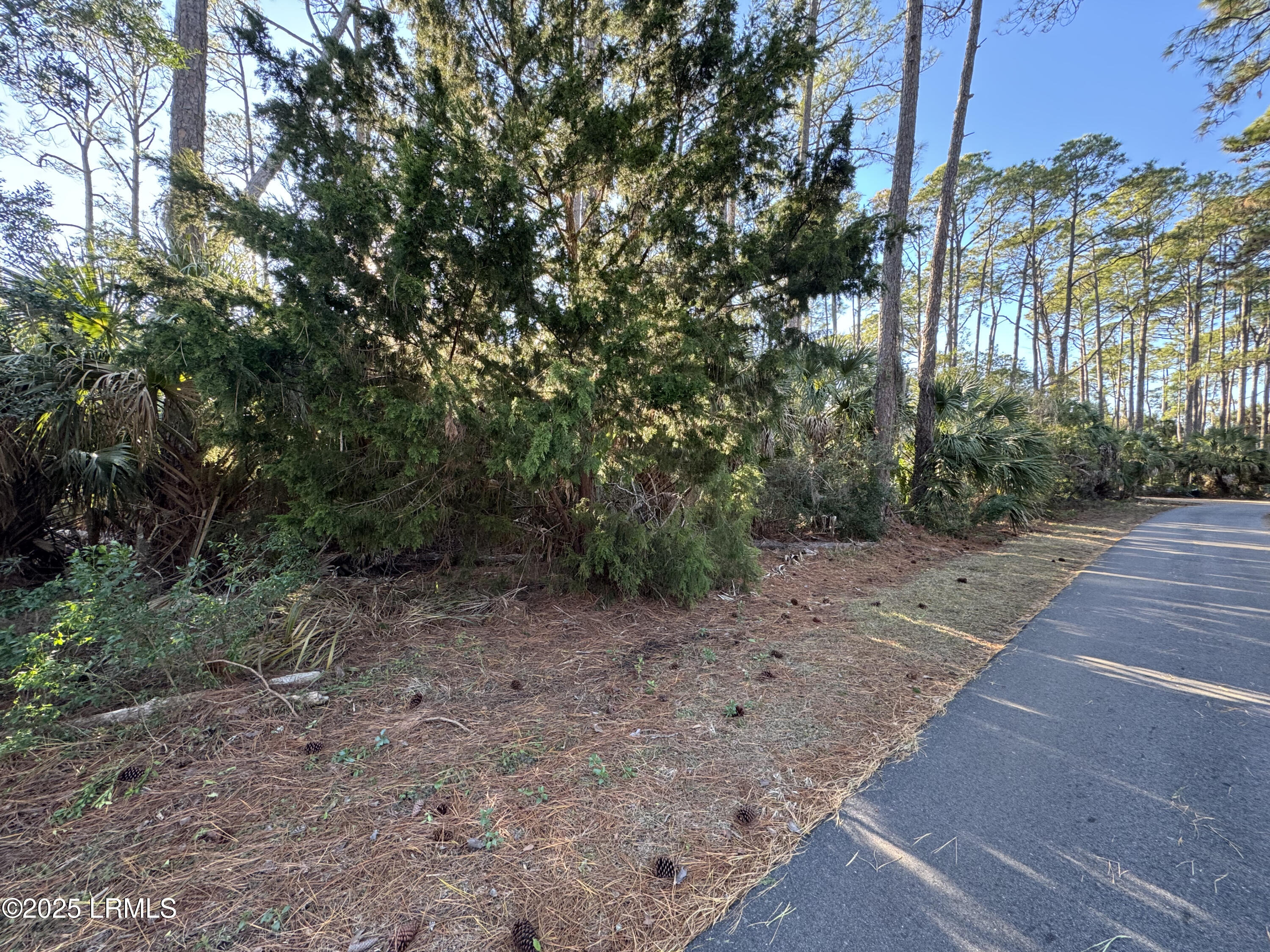 Harbor Island, South Carolina 29920, United States, ,Land,Active,20809