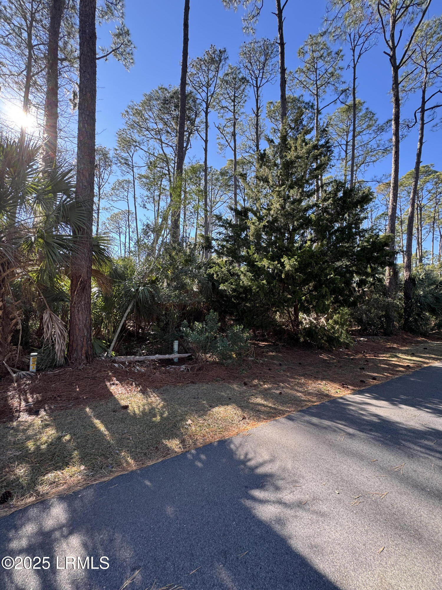 Harbor Island, South Carolina 29920, United States, ,Land,Active,20809