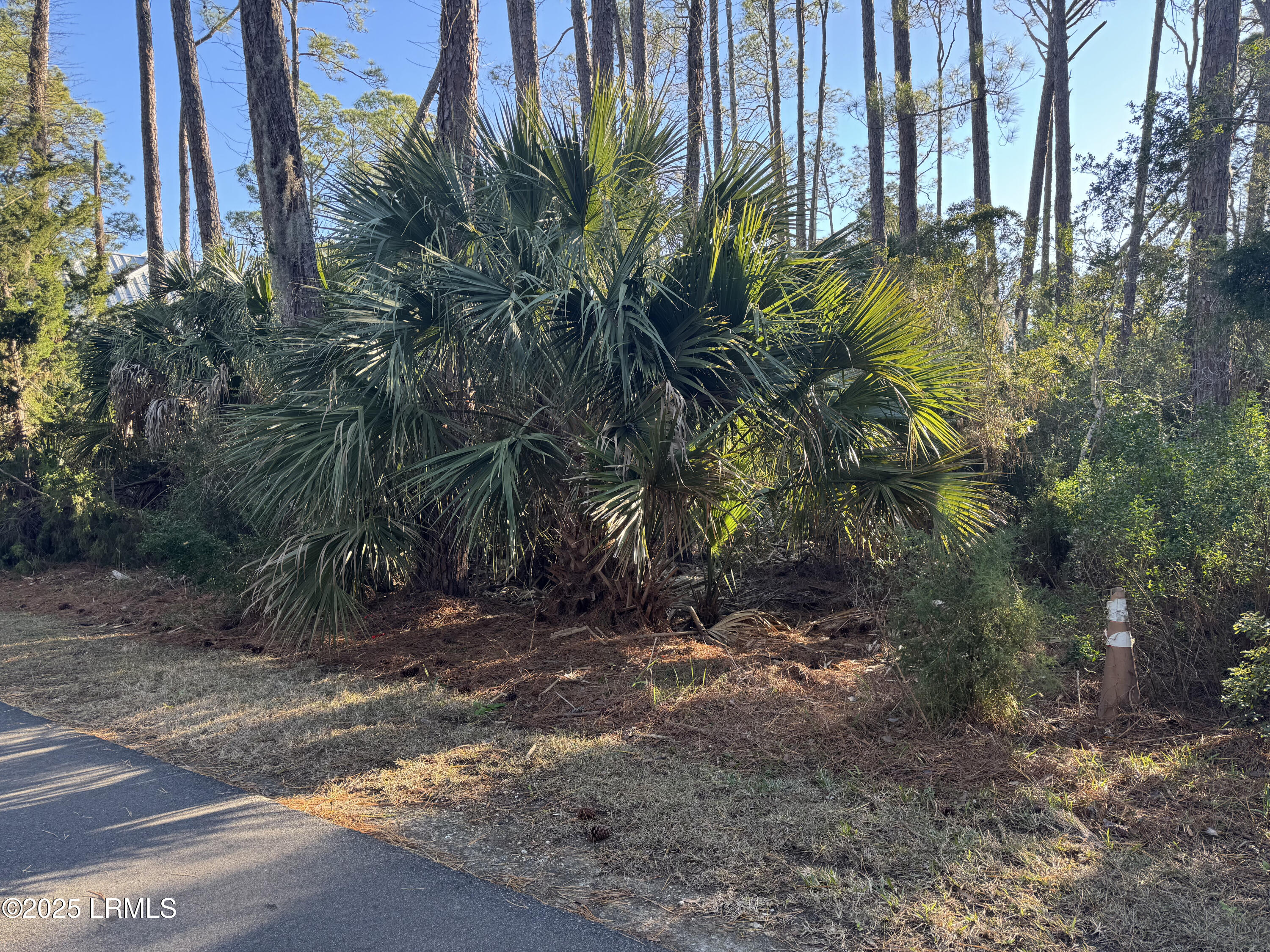 Harbor Island, South Carolina 29920, United States, ,Land,Active,20809