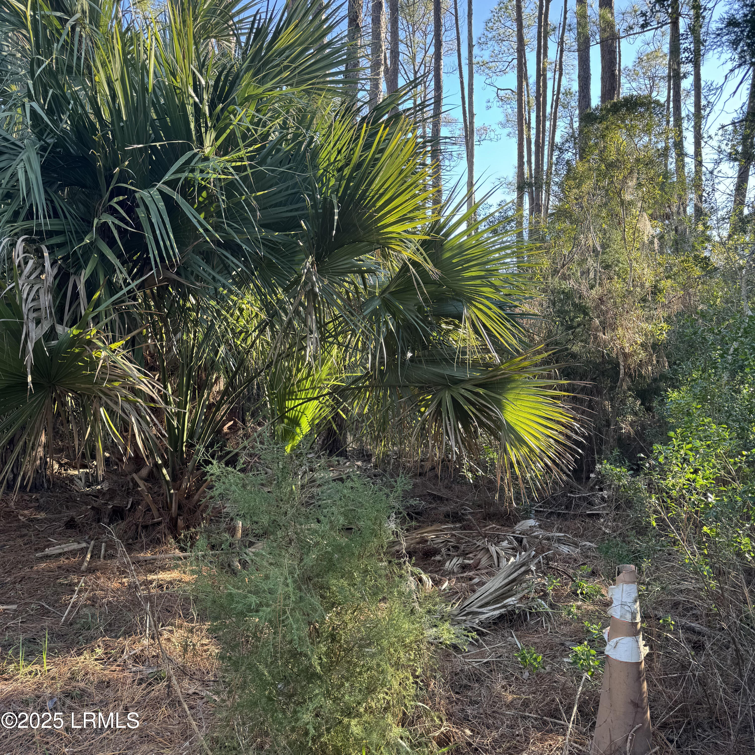 Harbor Island, South Carolina 29920, United States, ,Land,Active,20809