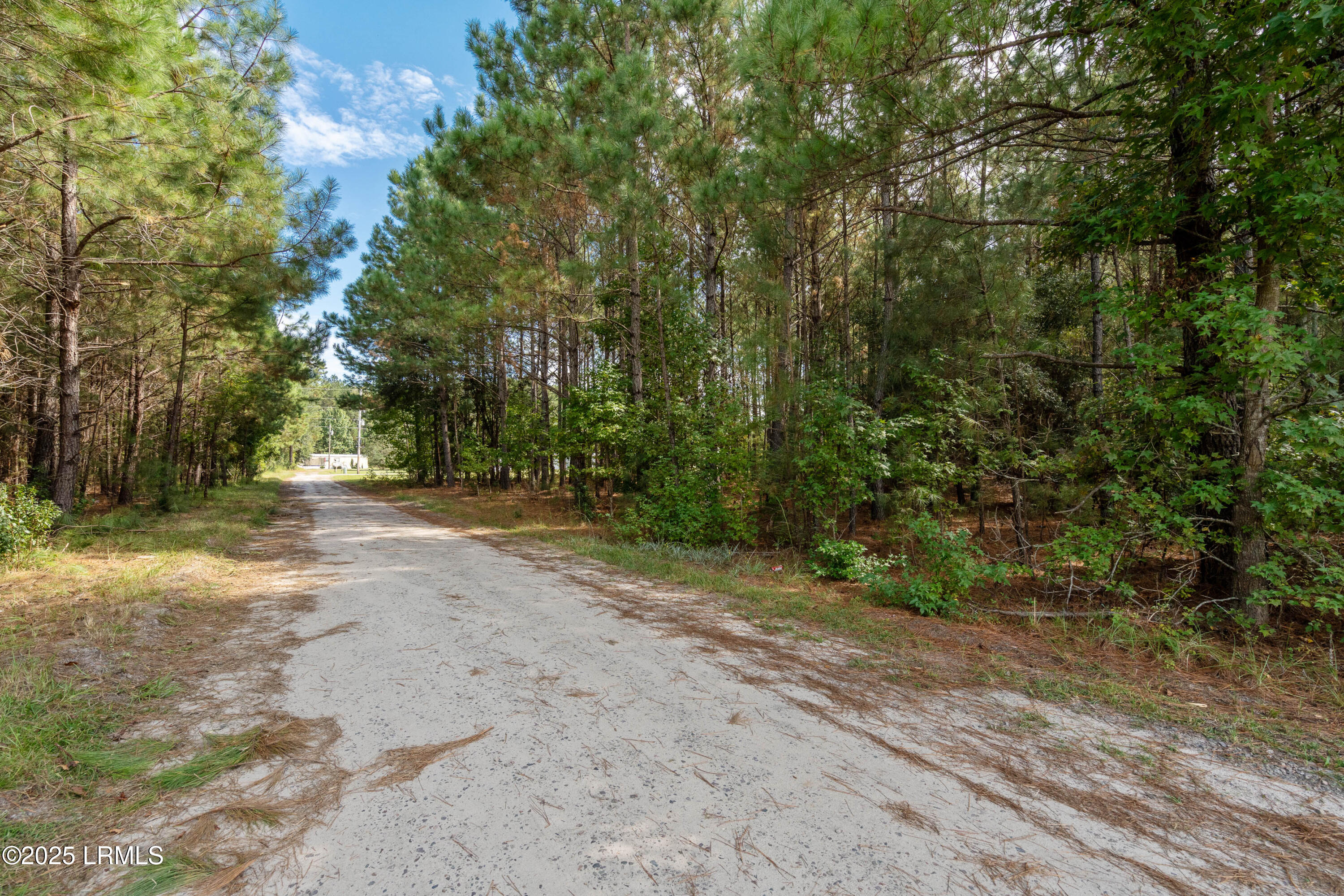 Ridgeland, South Carolina 29936, United States, ,Land,Active,221484