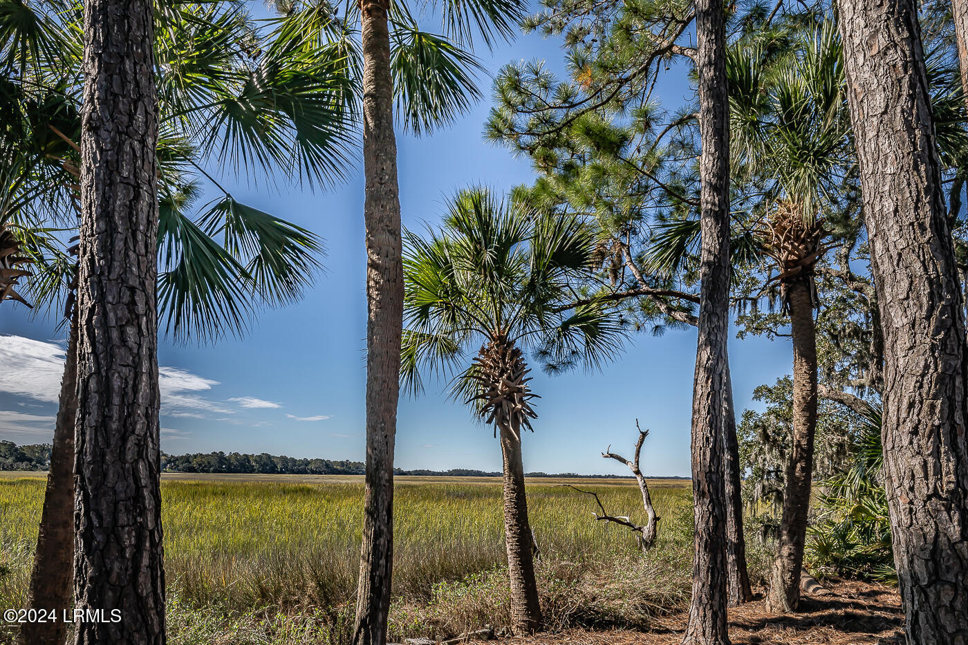 Dataw Island, South Carolina 29920, United States, 3 Bedrooms Bedrooms, ,3 BathroomsBathrooms,Residential,Active,38038