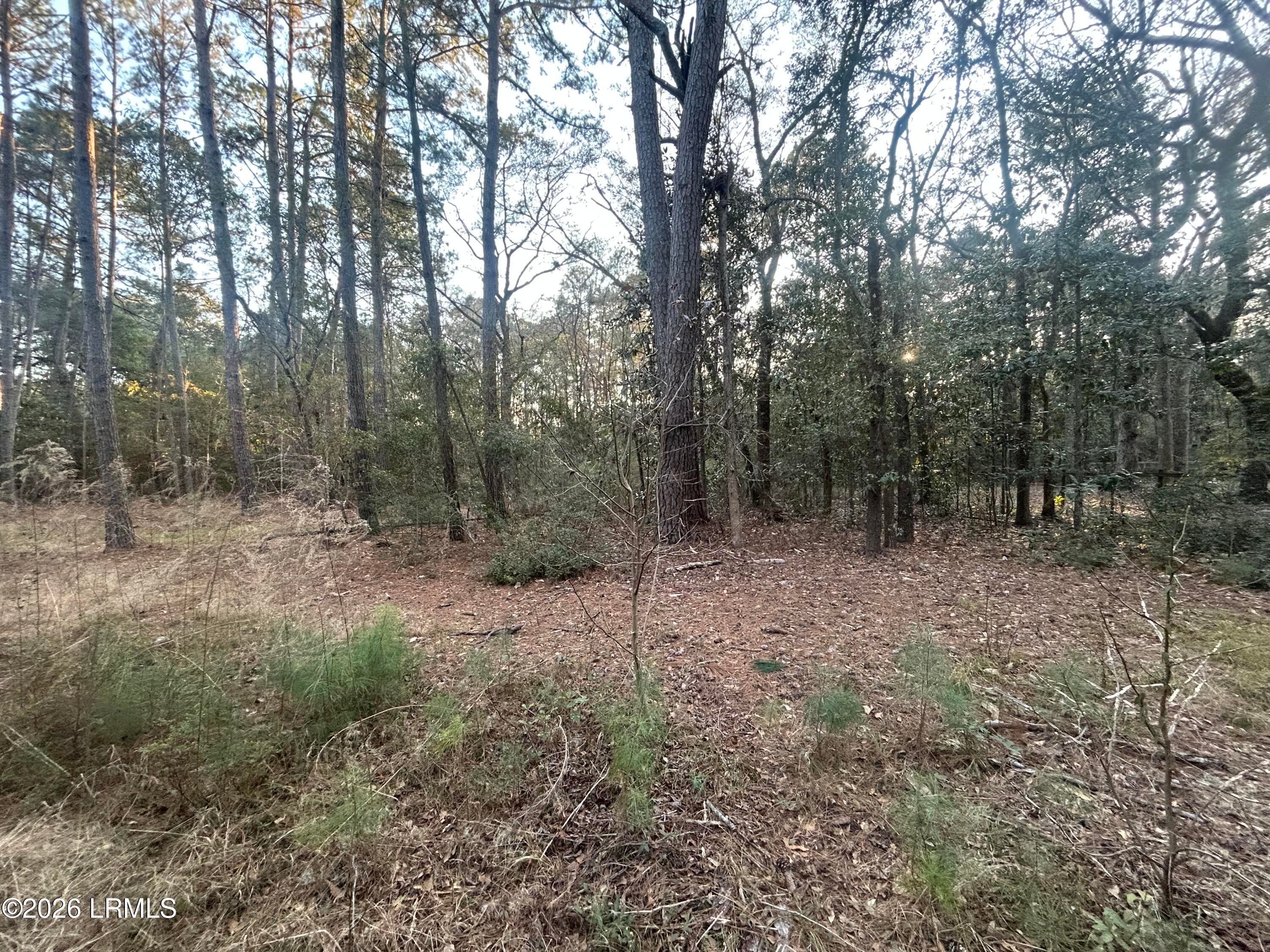 Tbd Harris Lane