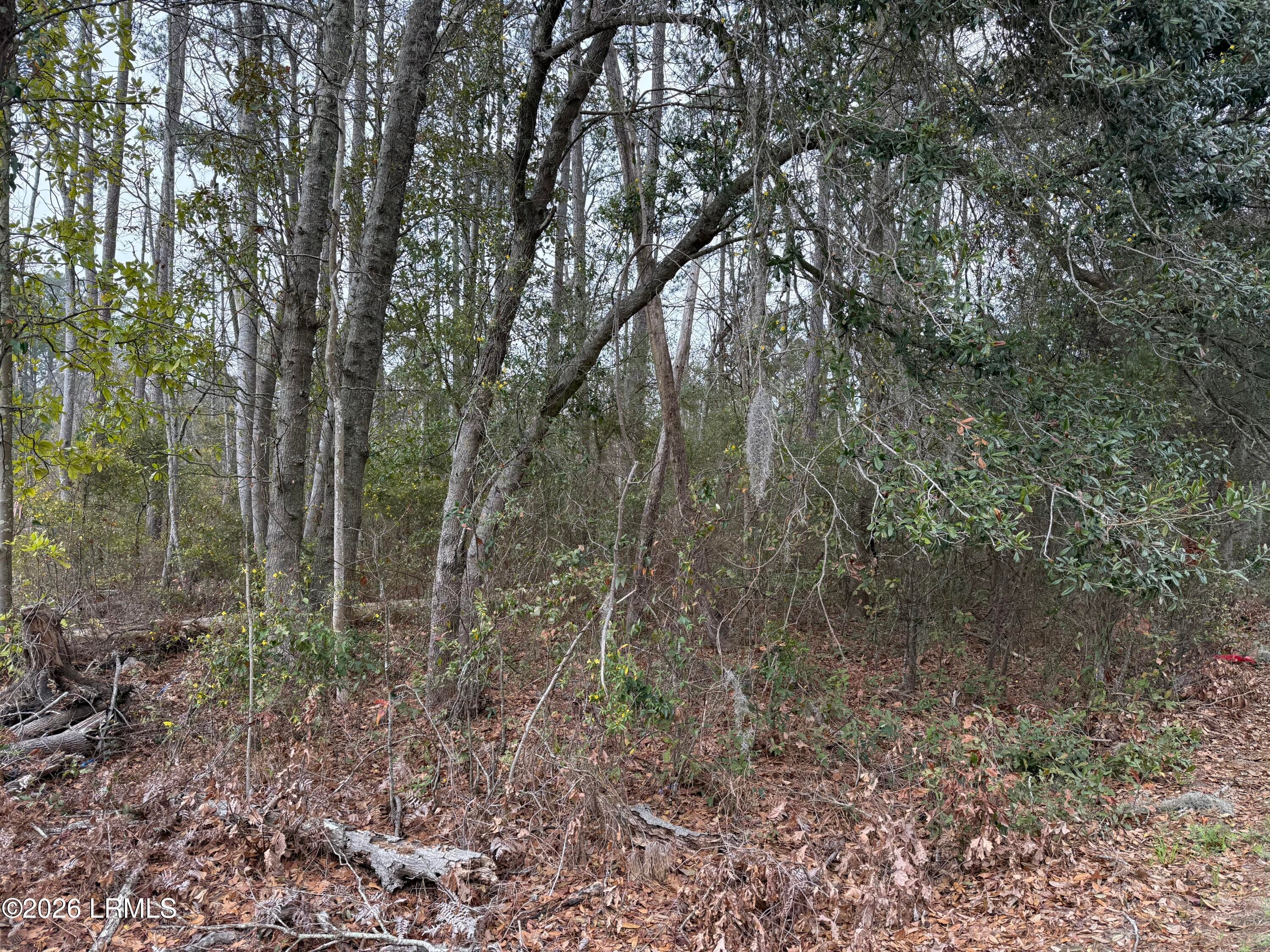 145 Savannah Highway