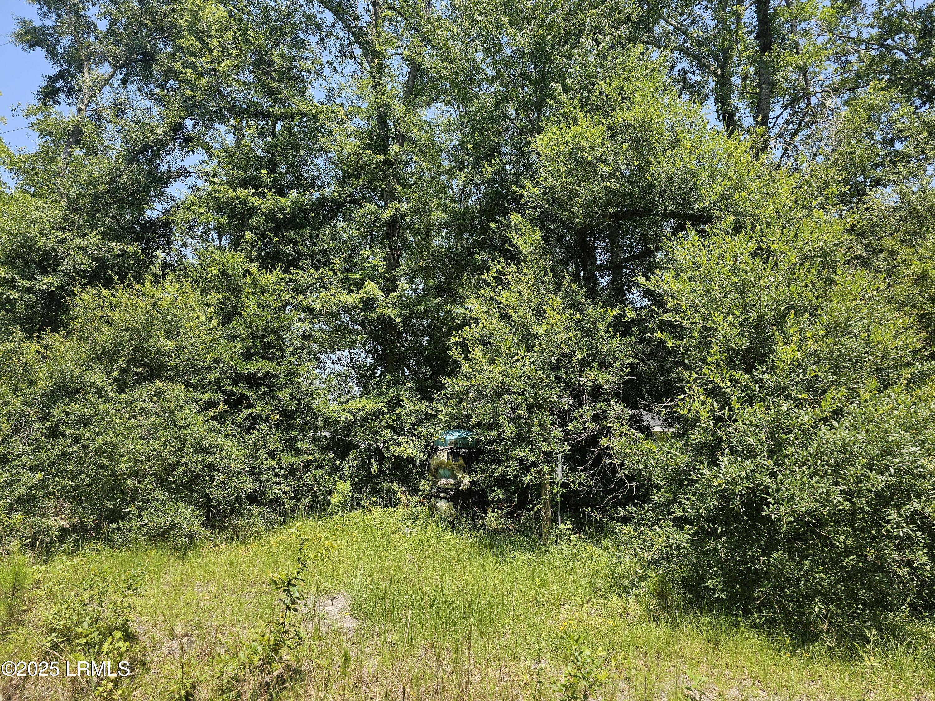 Hardeeville, South Carolina 29927, United States, ,Land,Pending,157656