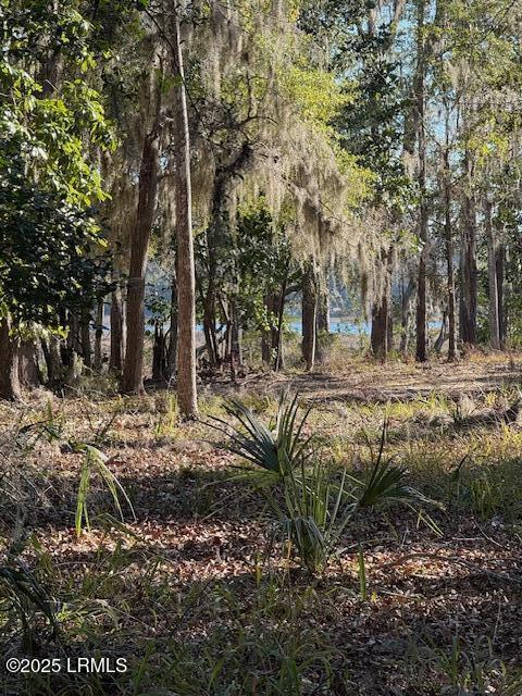 Beaufort, South Carolina 29902, United States, ,Land,Active,19423