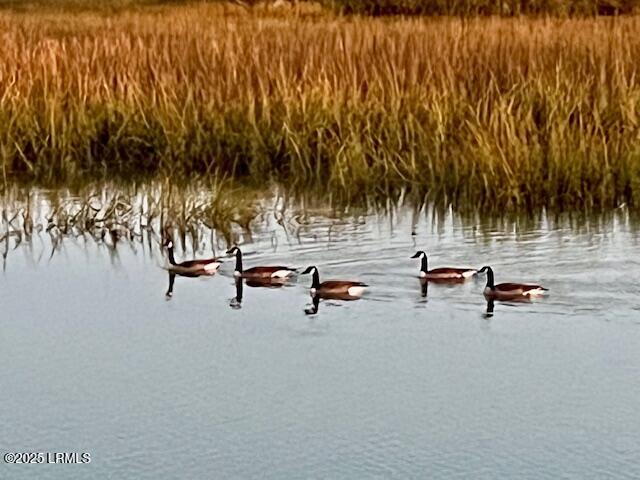 Beaufort, South Carolina 29902, United States, ,Land,Active,19423