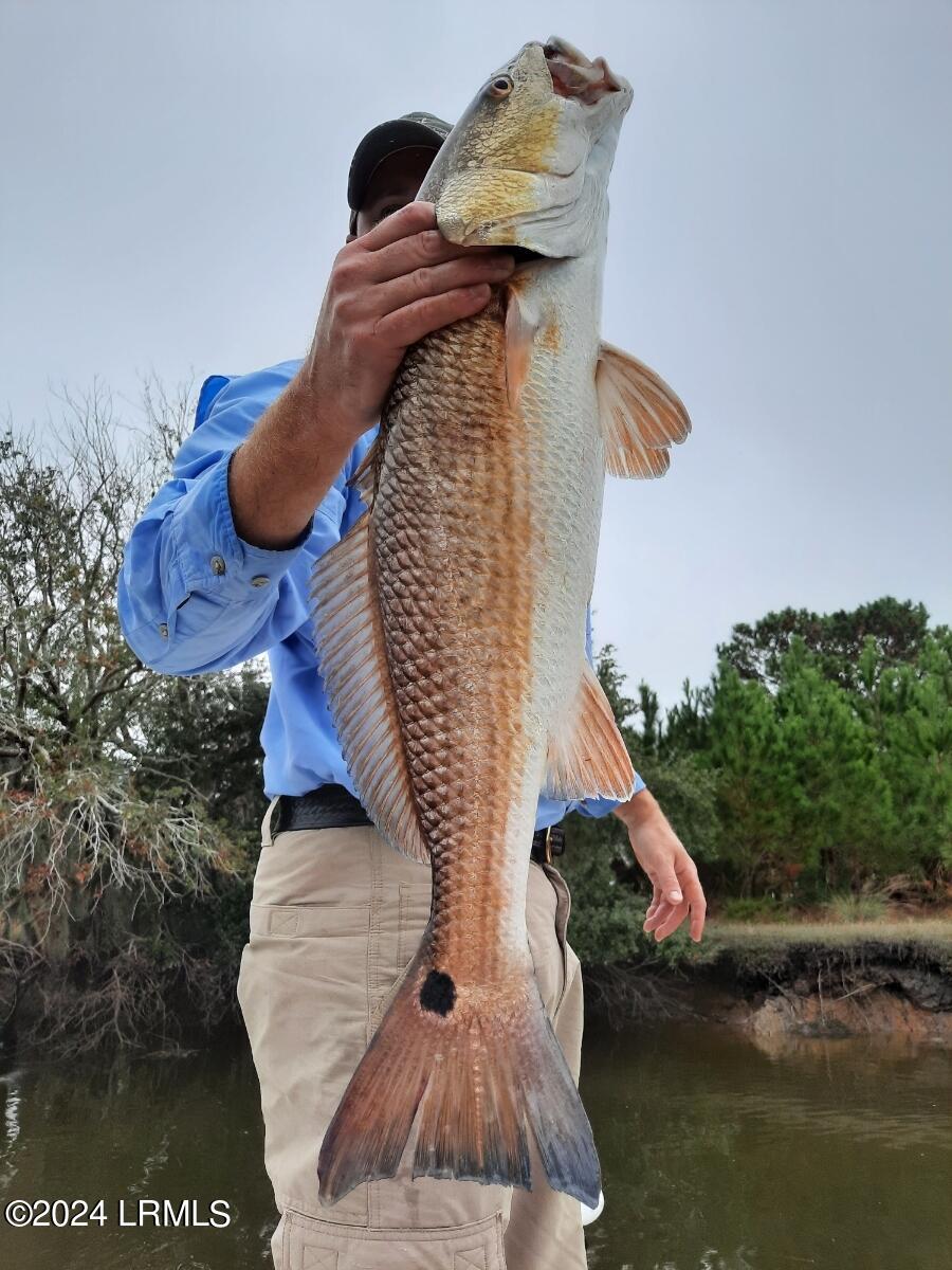 Seabrook, South Carolina 29940, United States, ,Land,Active,62134