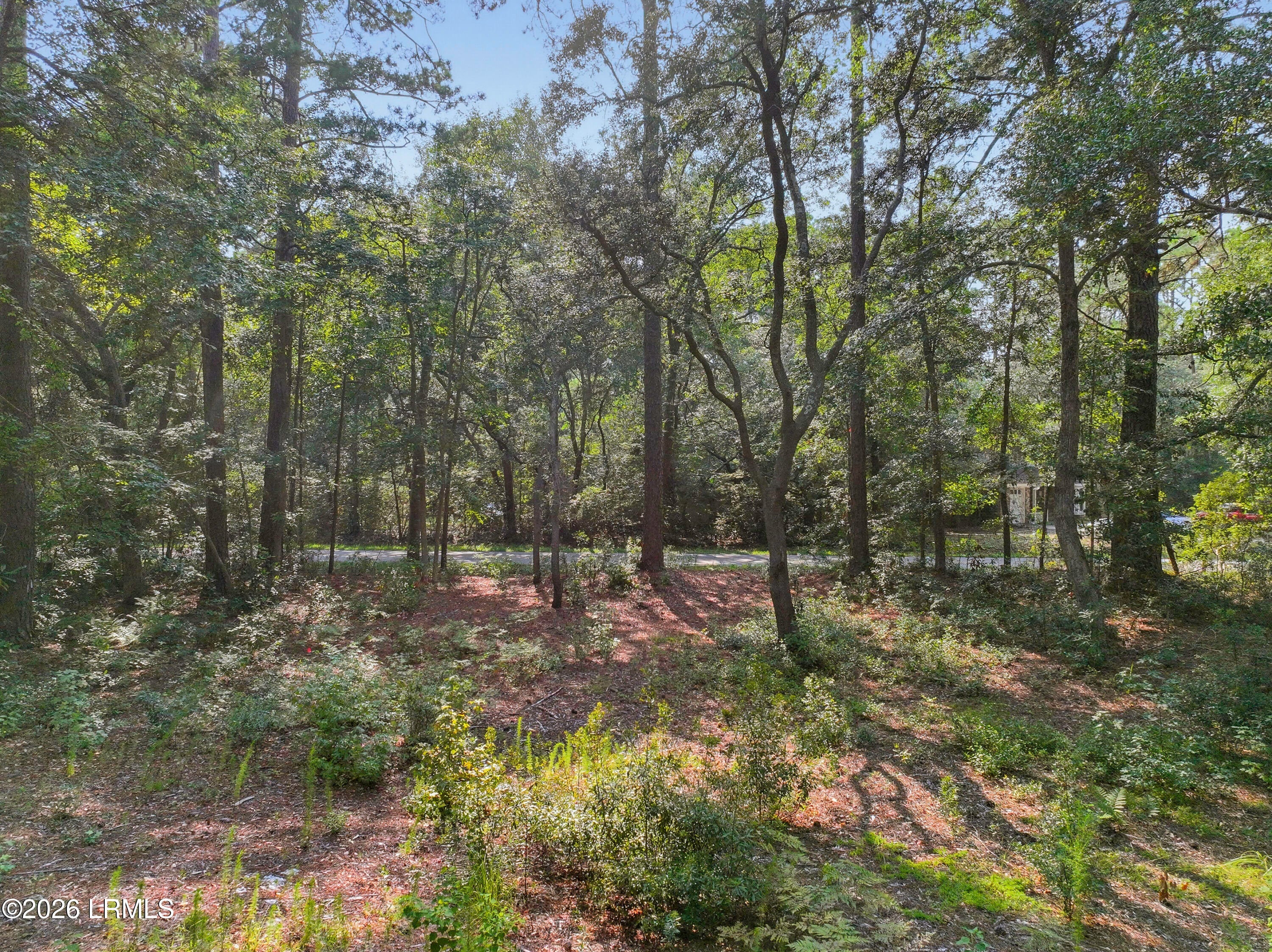 86 Wade Hampton Drive