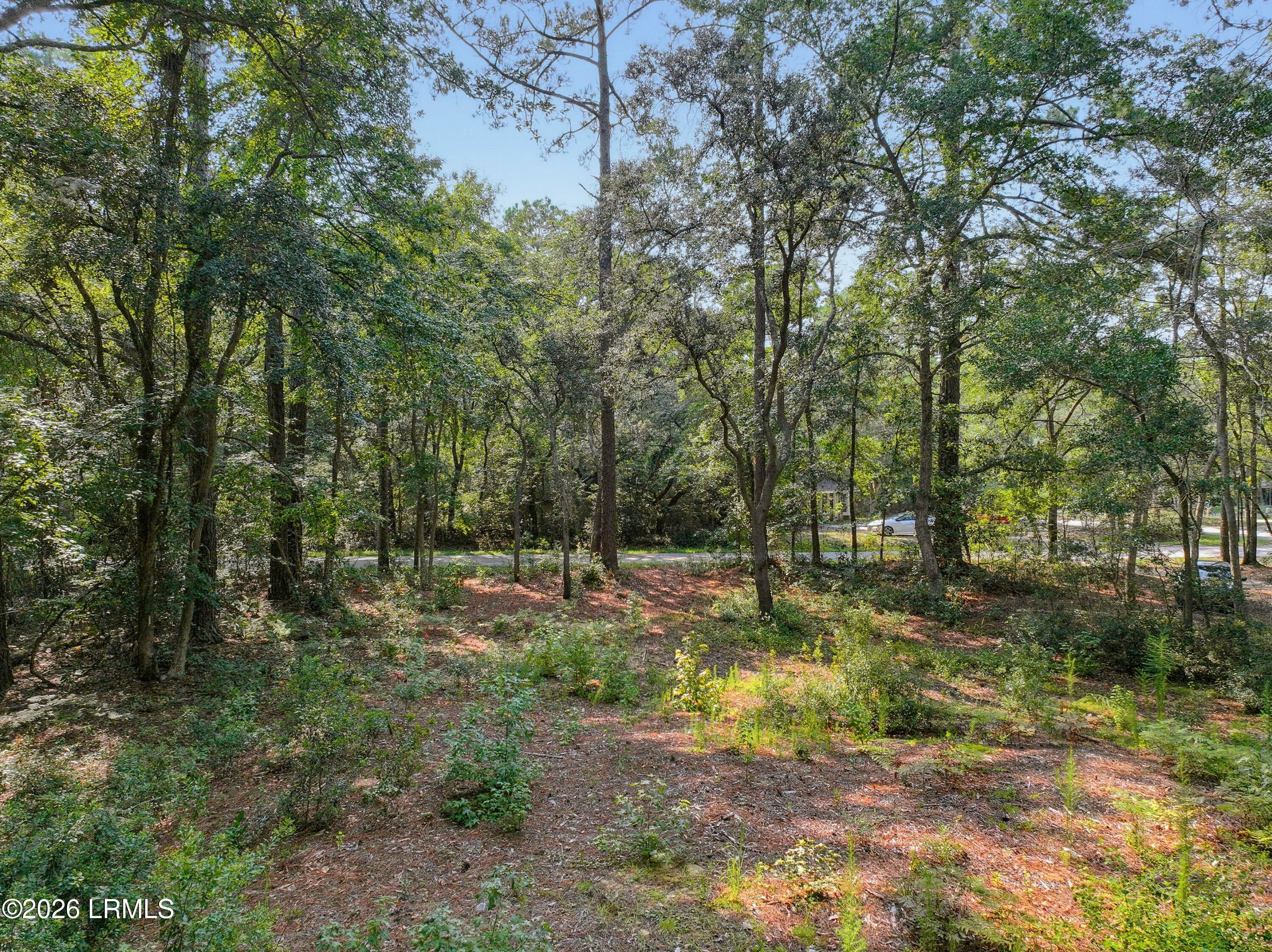 86 Wade Hampton Drive