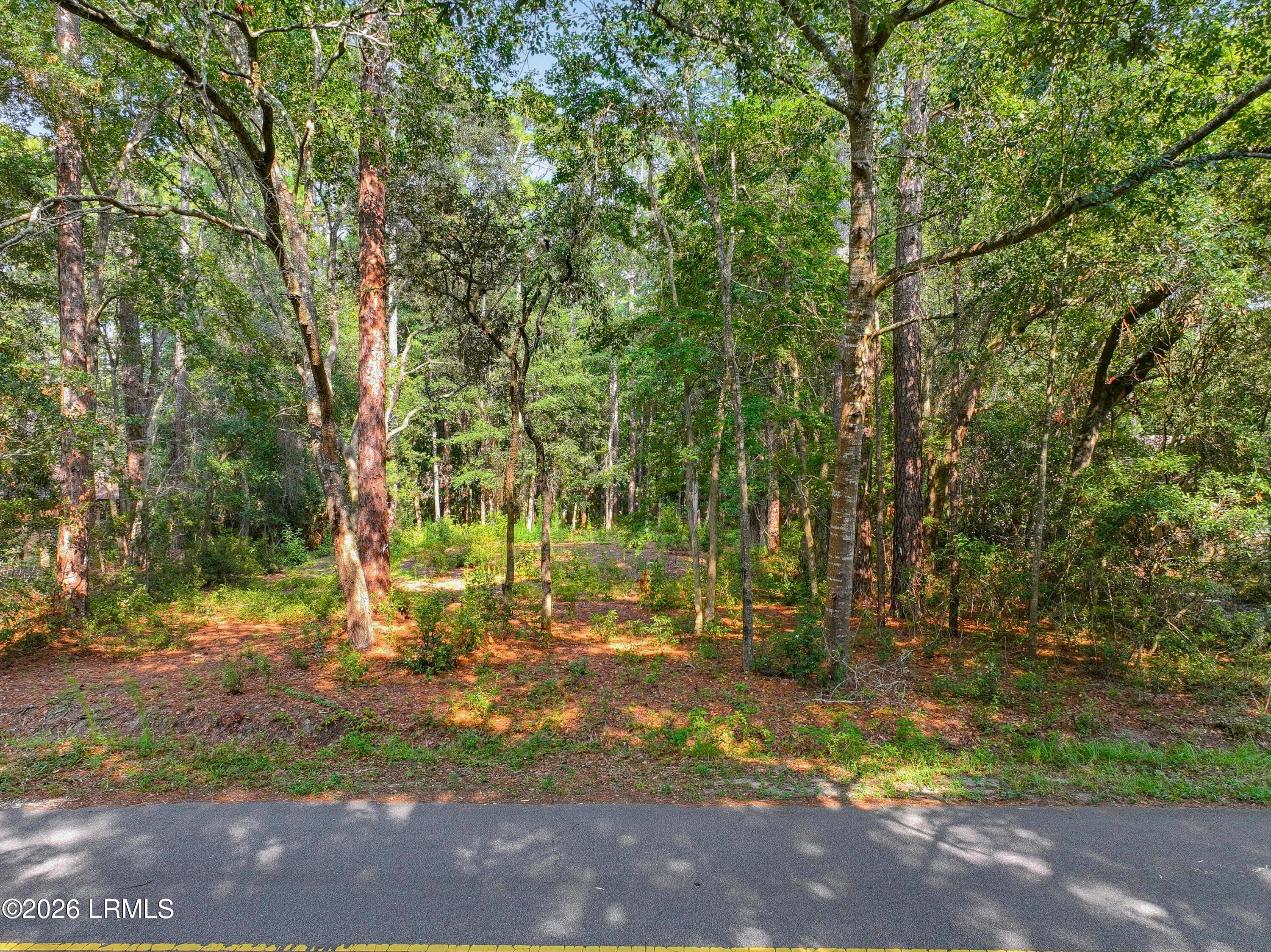86 Wade Hampton Drive