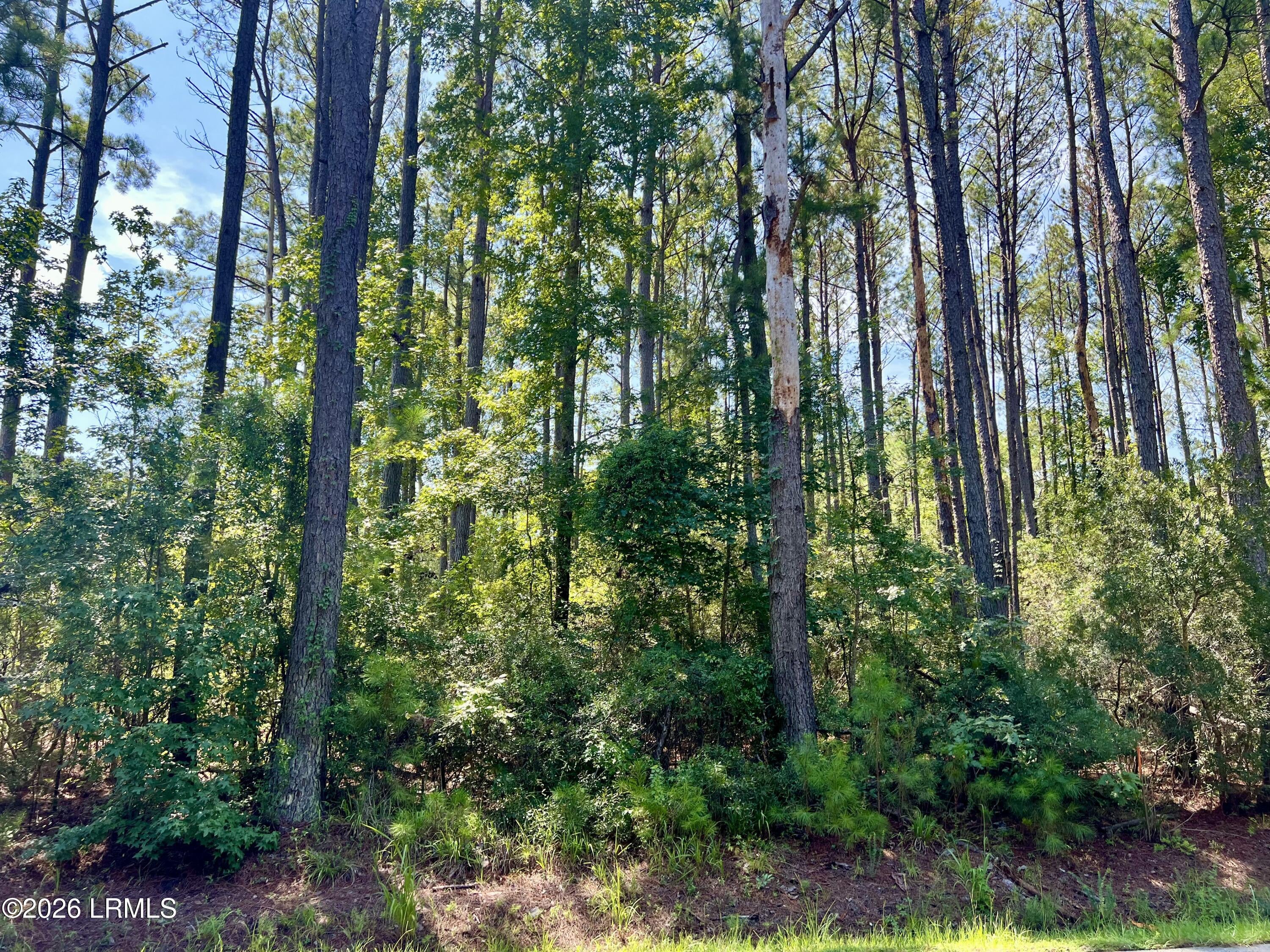 387 Founders Oak Way