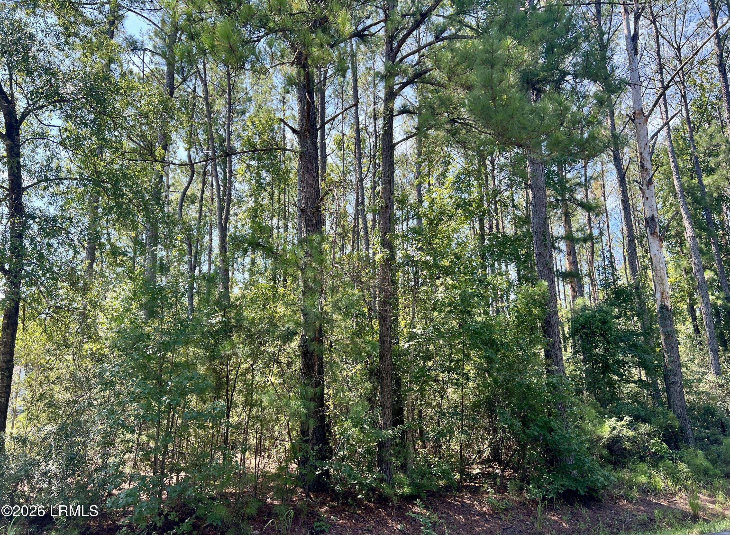 387 Founders Oak Way