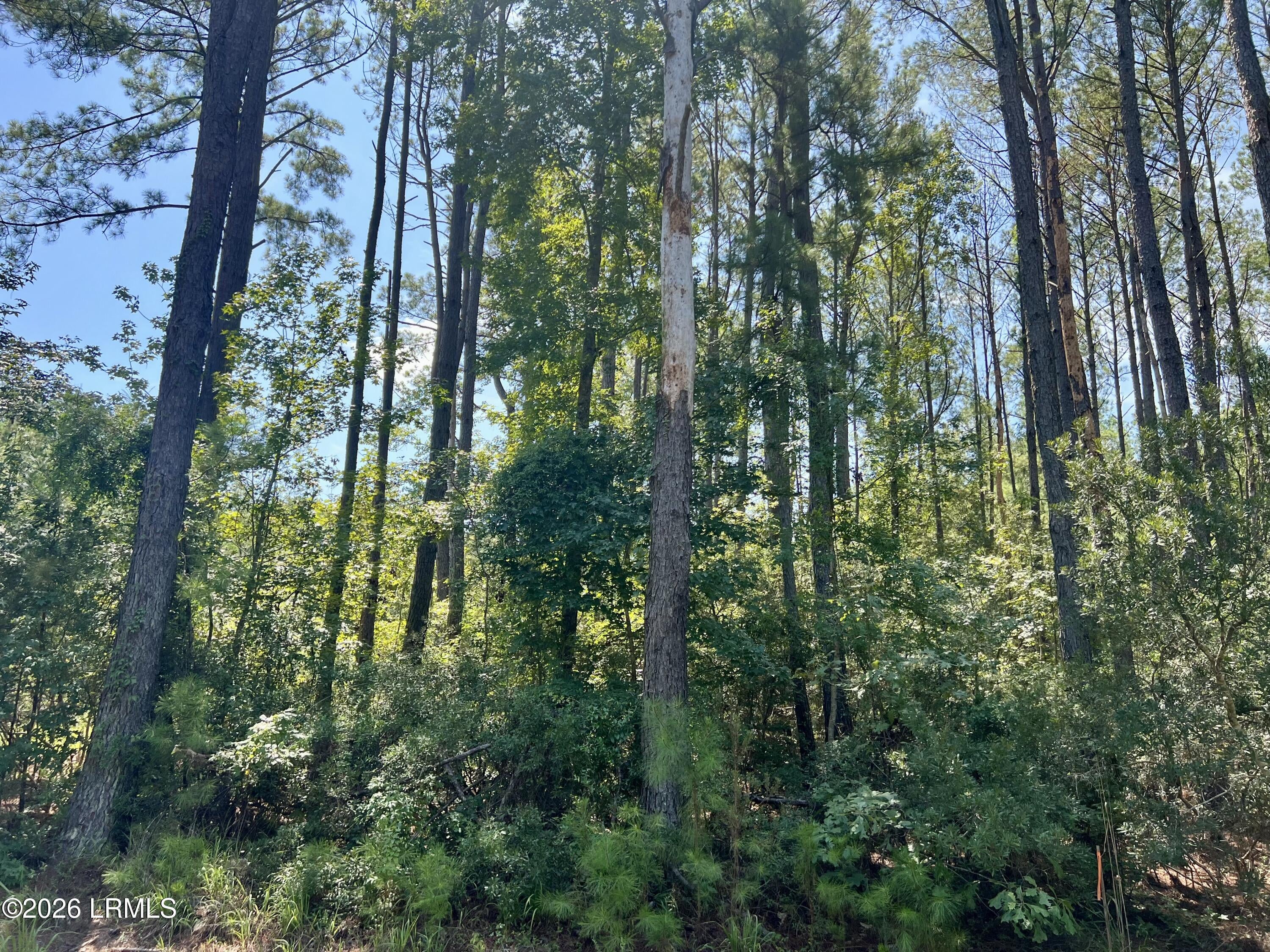 387 Founders Oak Way
