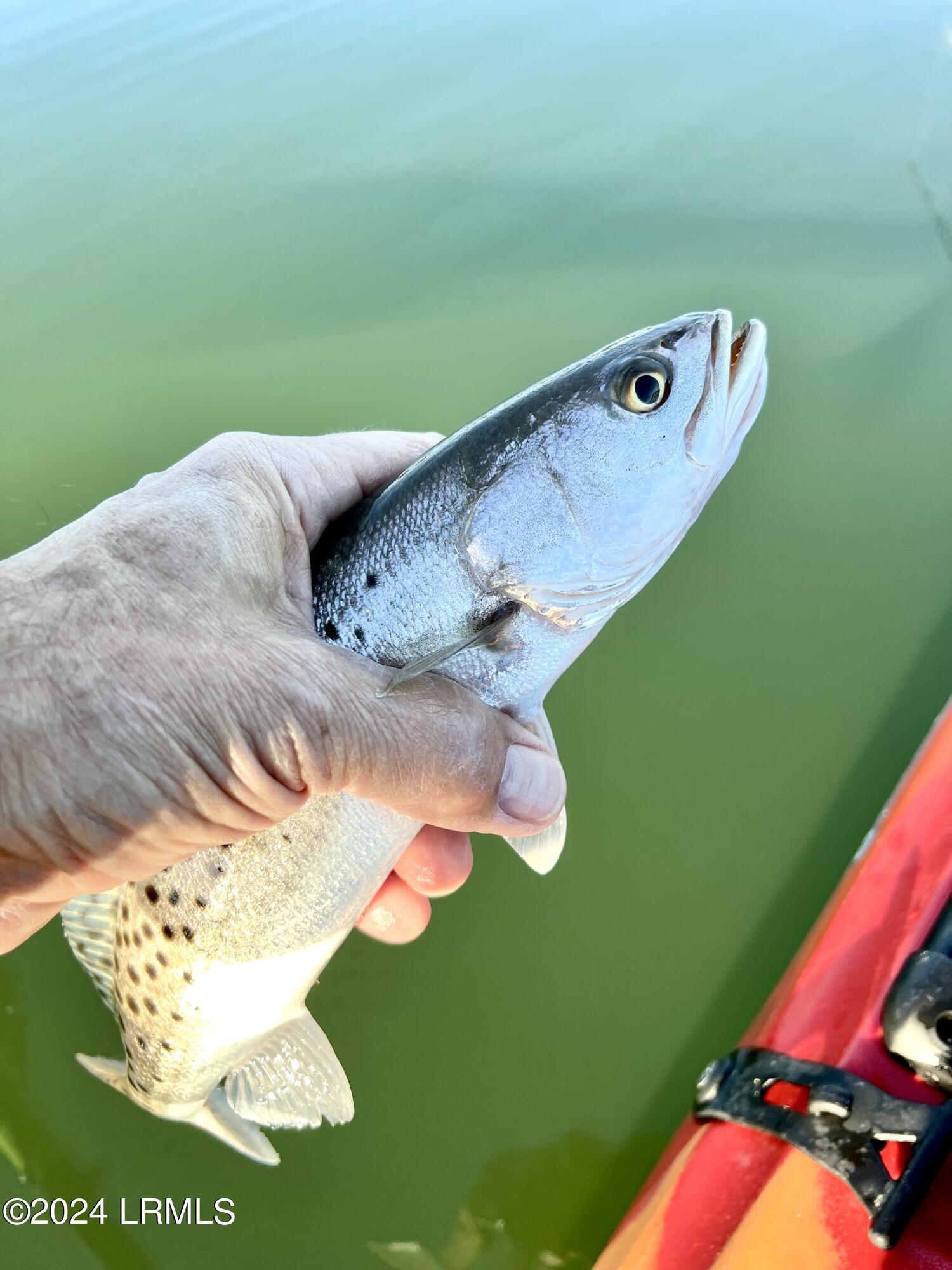 Beaufort, South Carolina 29902, United States, ,Land,Active,45061