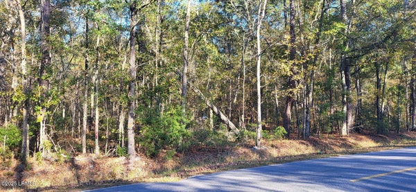 409 WADE HAMPTON RD, HAMPTON, SC 29924 - Image 7af2cf7e4d8b797d2bda09e996cf7d68/588260552